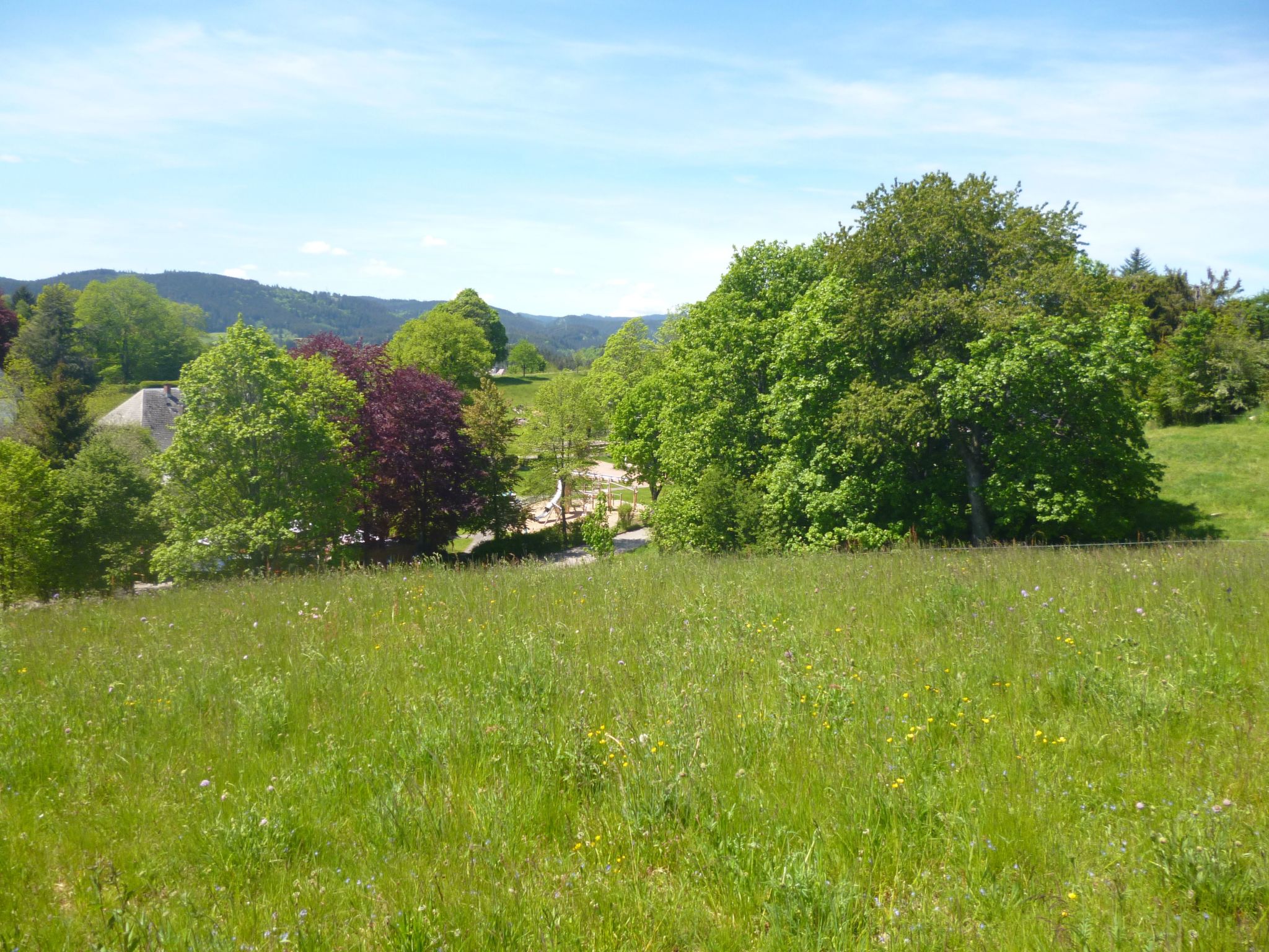 Luxus-Appartement in Kappel-Binnen