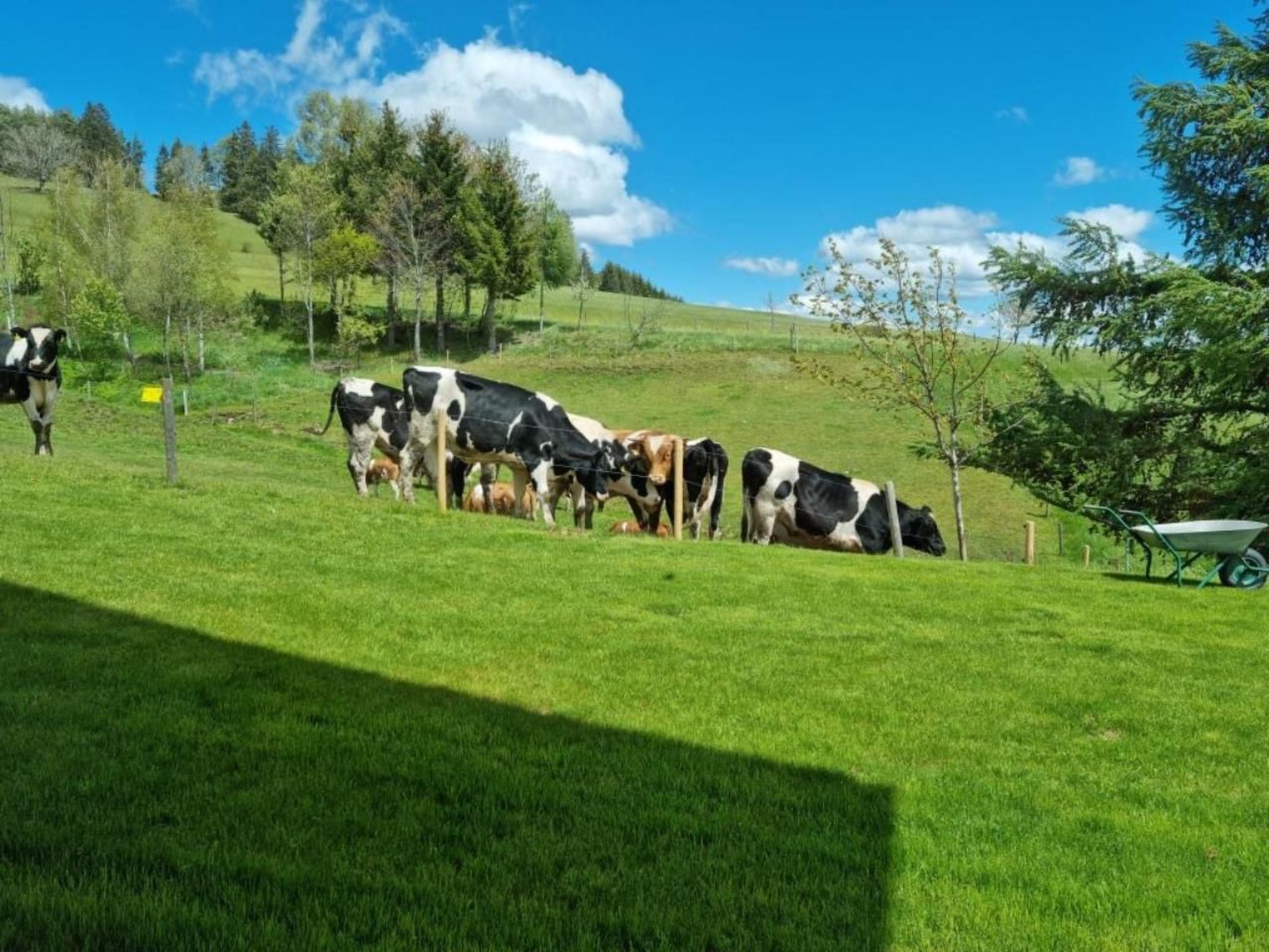 Luxus-Appartement in Kappel-Binnen