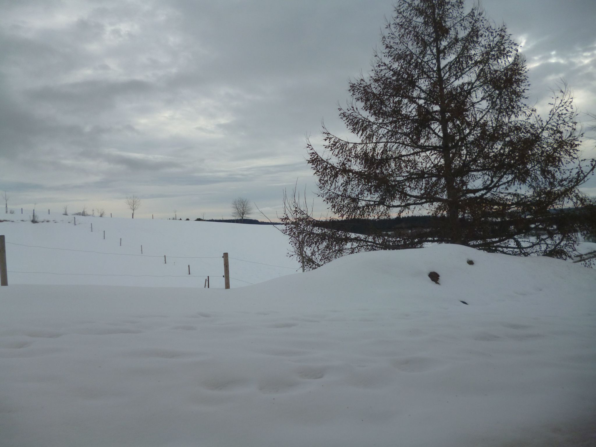 Luxus-Appartement in Kappel-Binnen