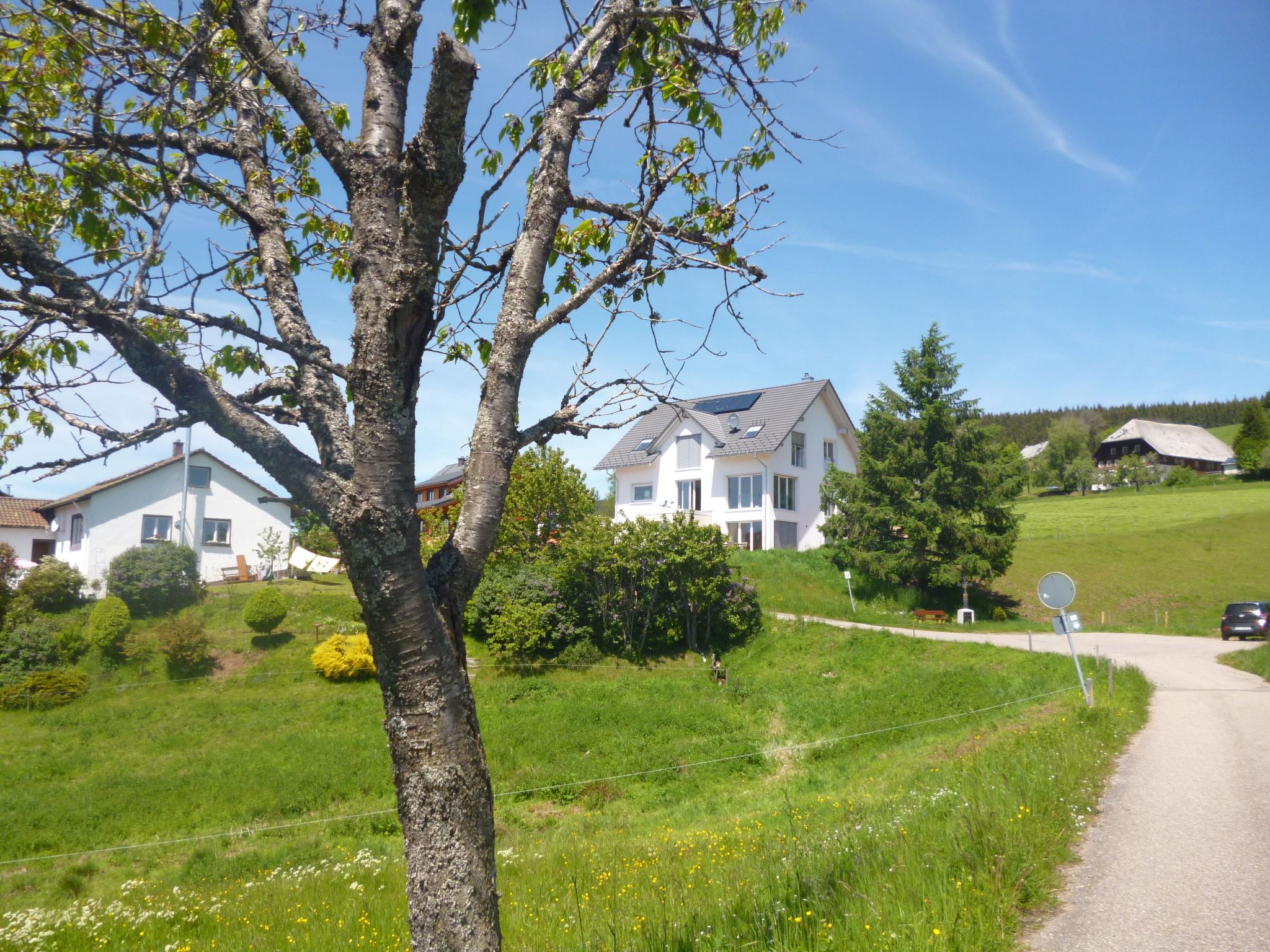 Luxus-Appartement in Kappel-Binnen