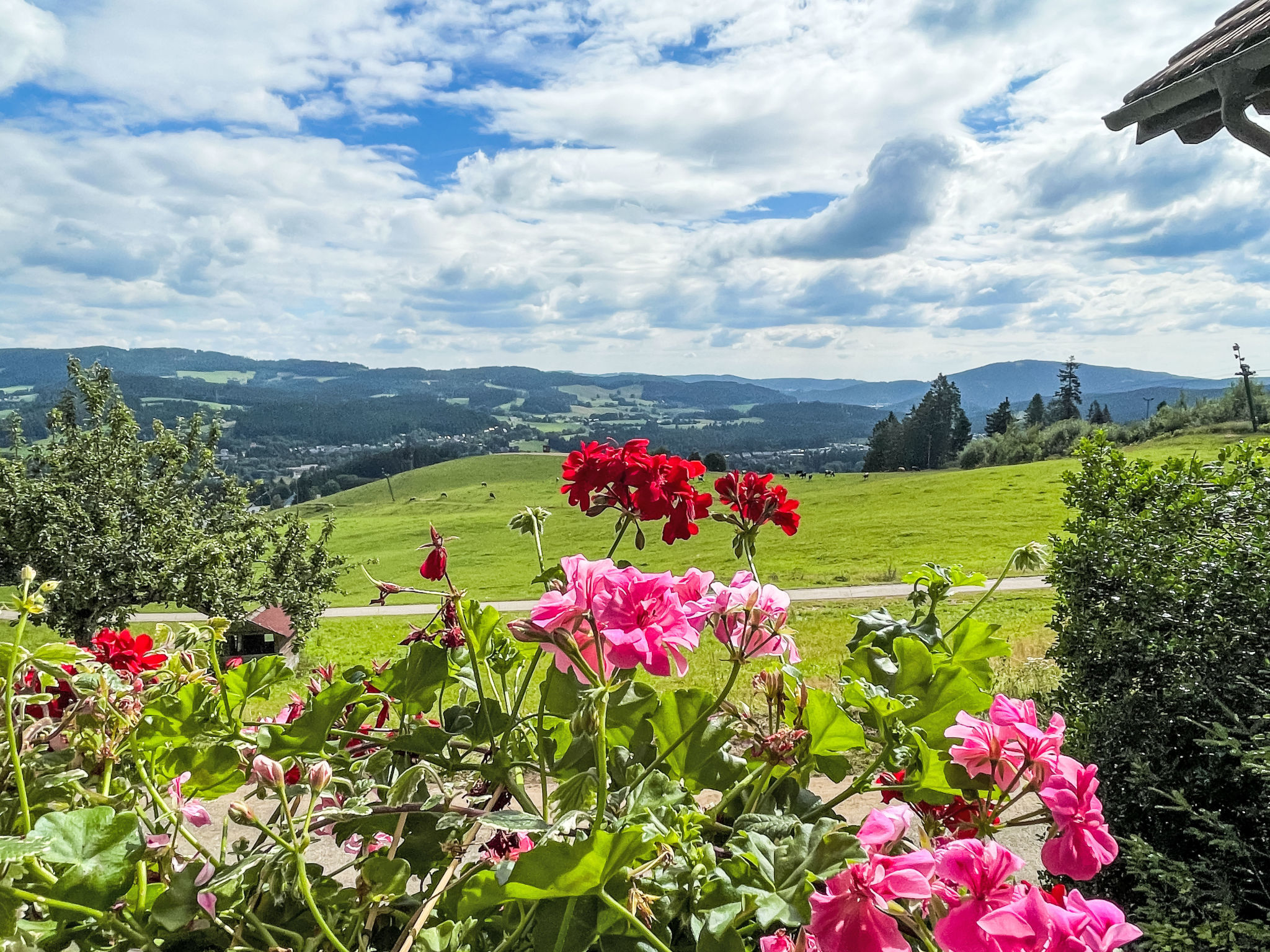 Mühlenmichelshäusle-Buiten