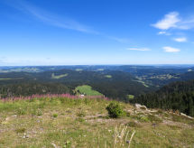 Ferienwohnung Haus Ganter