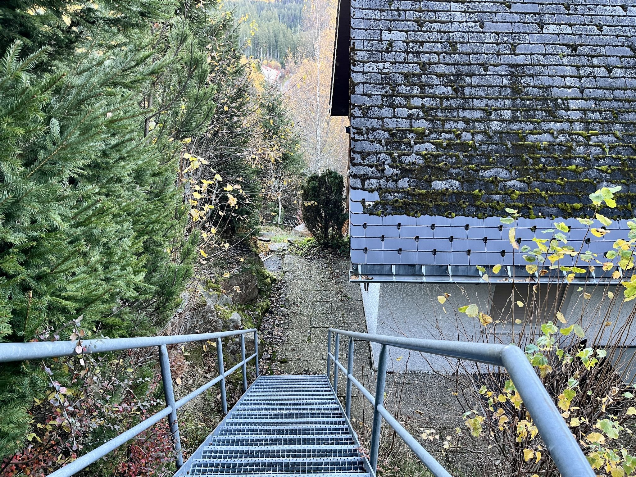 Photo of Falkennest - mit Blick auf den Titisee