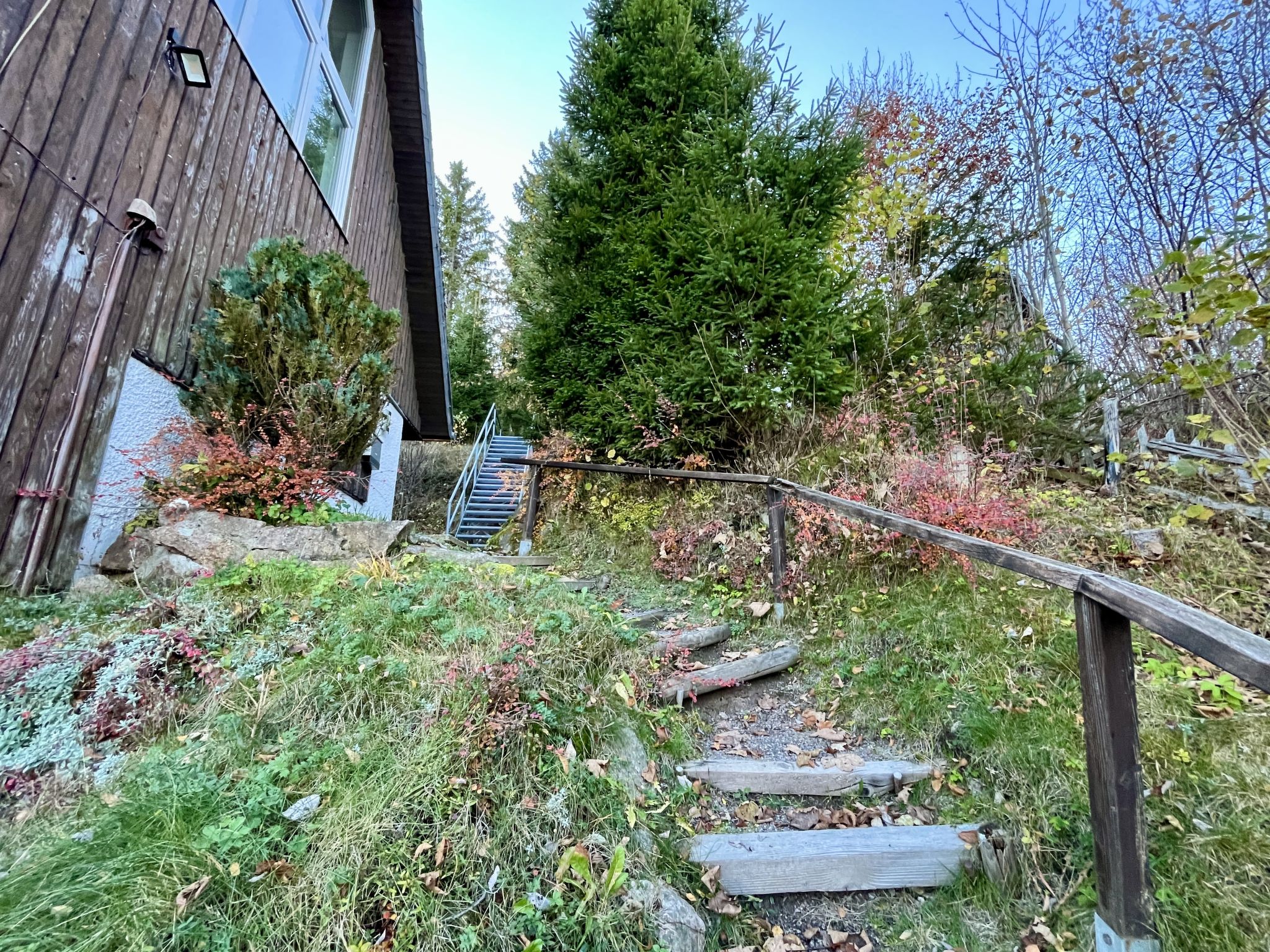 Photo of Falkennest - mit Blick auf den Titisee