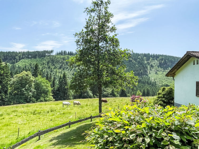 Photo of Black Forest Hideaway
