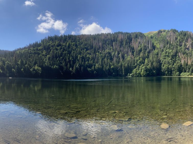 Photo of Black Forest Hideaway