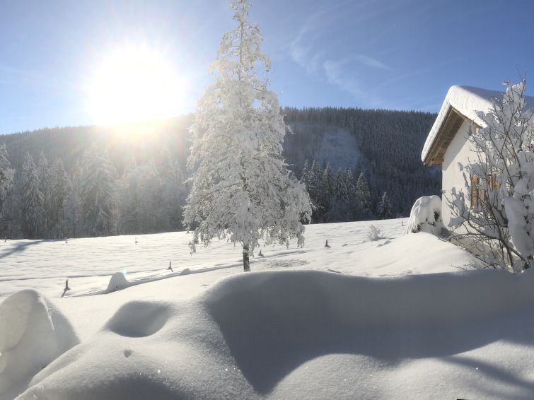 Photo of Black Forest Hideaway