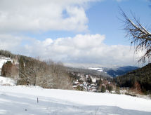Appartement Blechnerhof