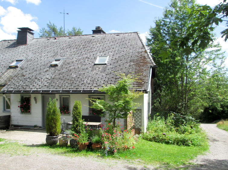 Ruim appartement Blechnerhof in zonnig Feldberg in Feldberg
