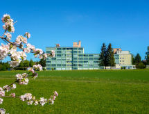 Apartment Löwenzahn (F 95)