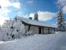 Zum munteren Eichhörnchen