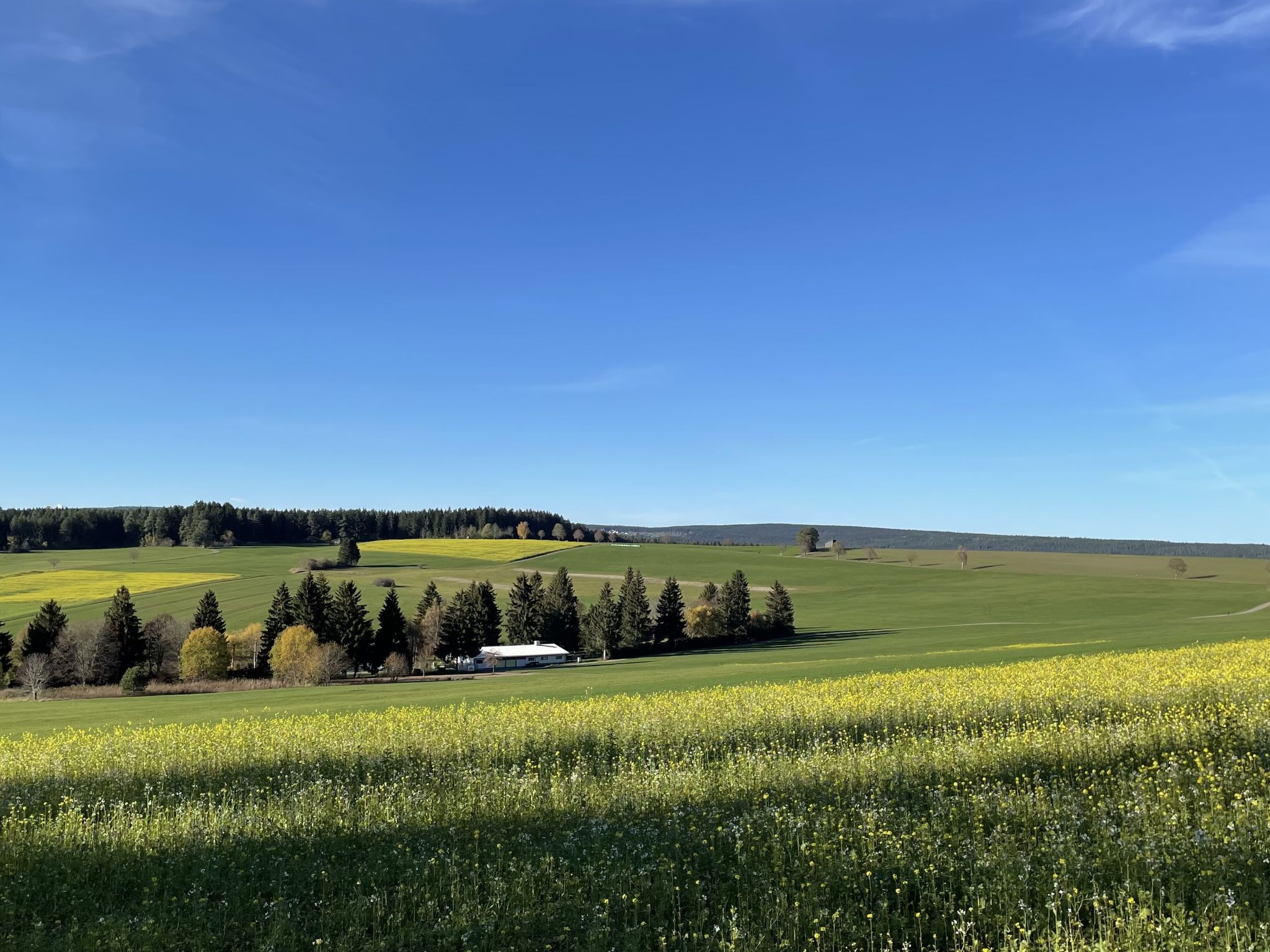Maison Zum munteren Eichhörnchen – Vue aérienne, photo 34 sur 38