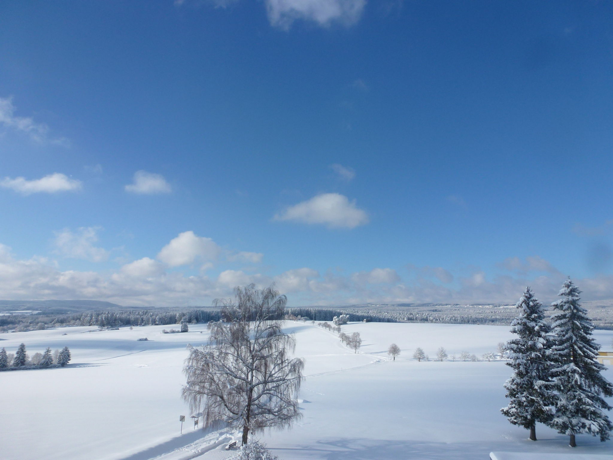Maison Hochwald – Environs, photo 38 sur 44