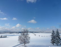 Vacation home Sonnenbühl