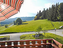 Appartement App. 1406 / EX-Kurhotel Schluchsee