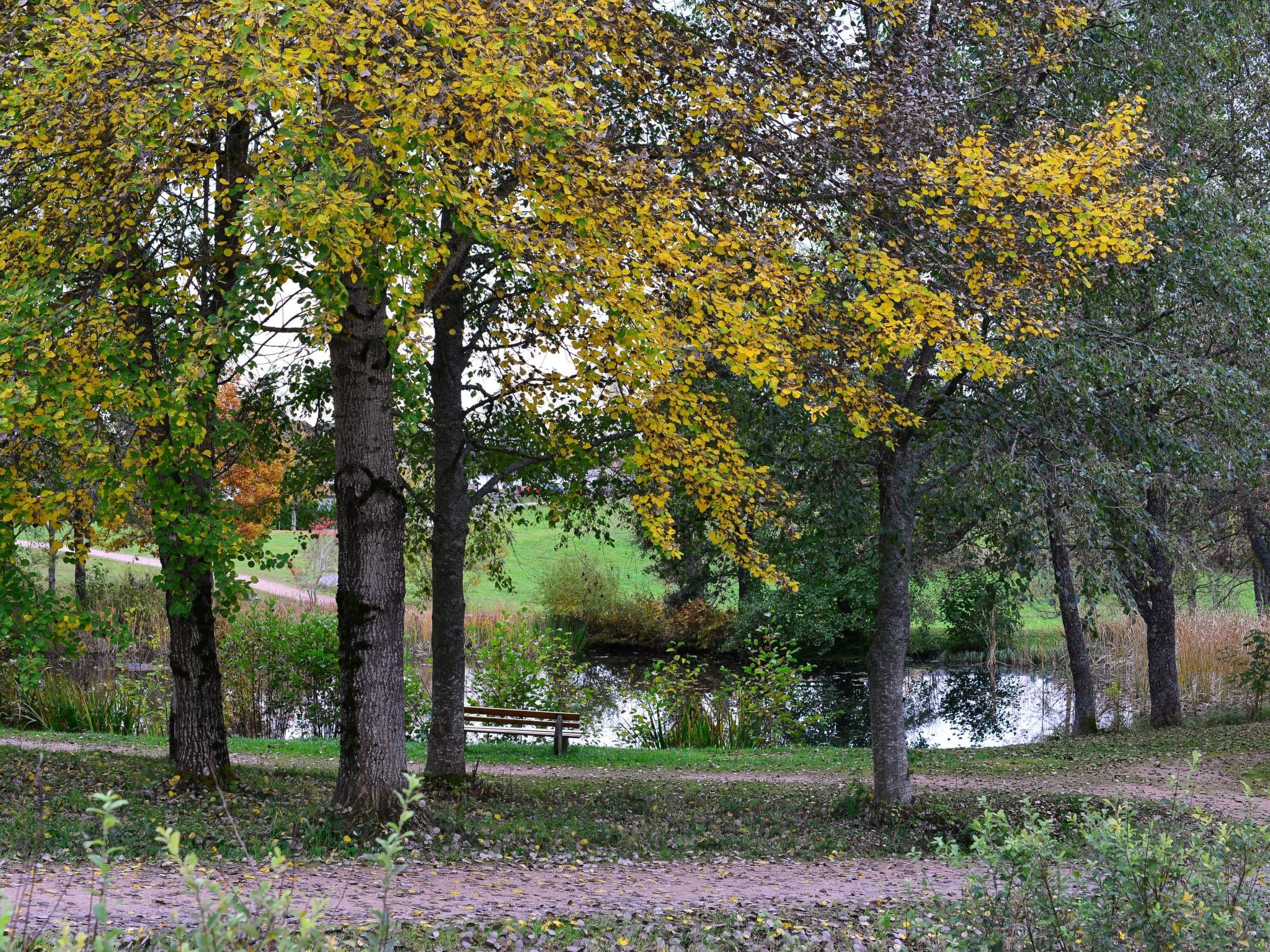 Appartement Seestern-Inside