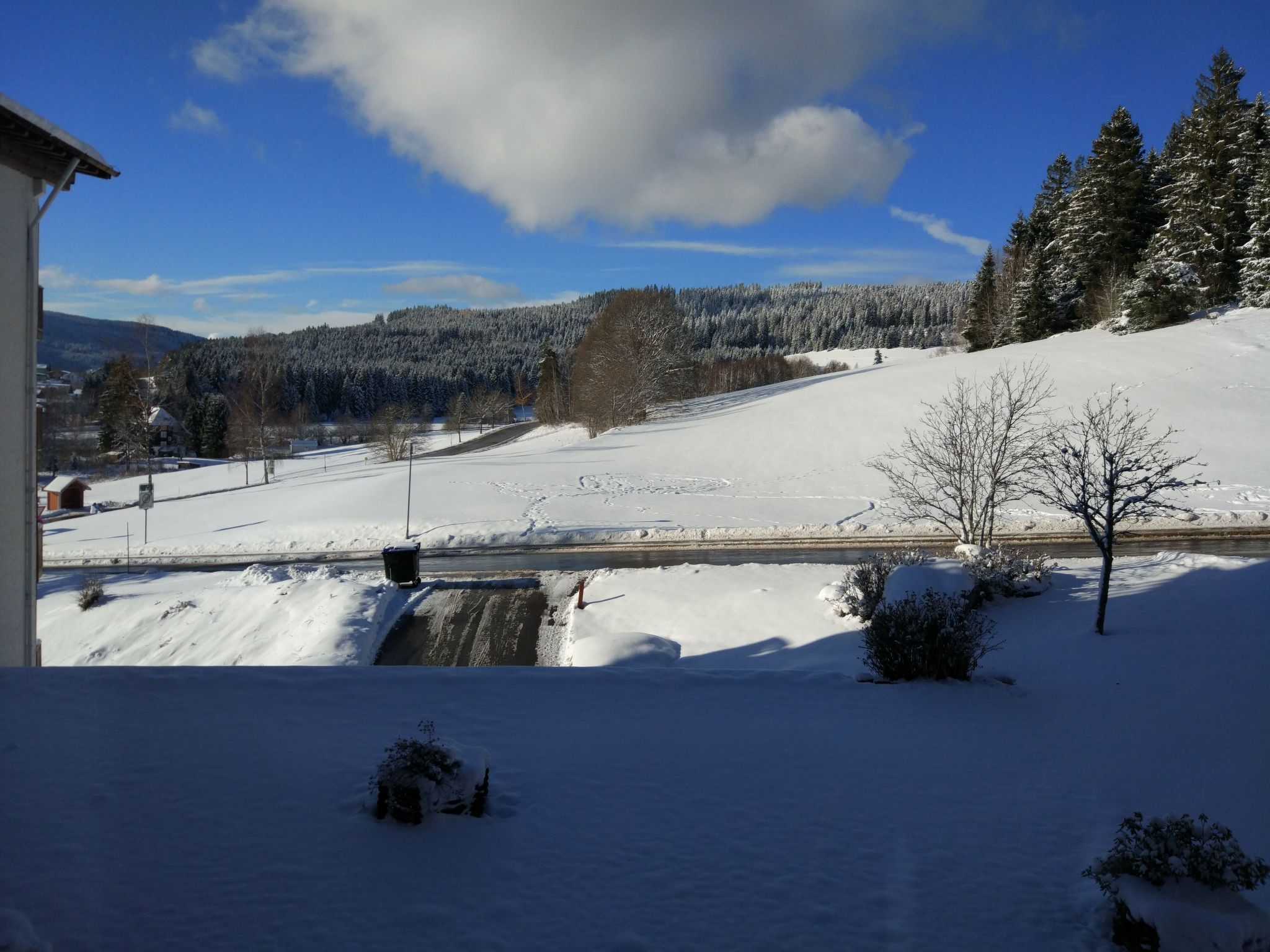 Tolles Appartement mit Pool in Schluchsee-Binnen