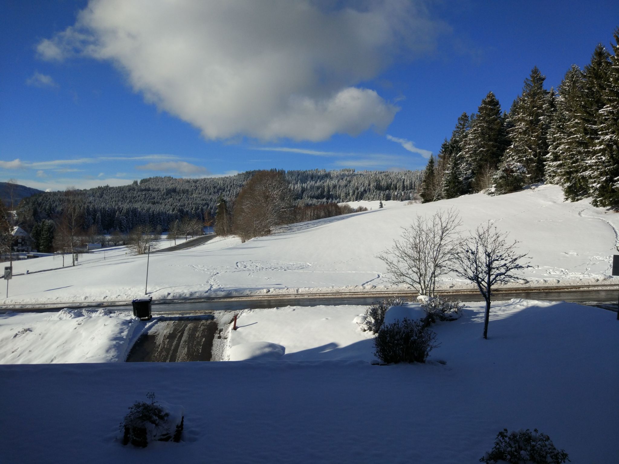 Tolles Appartement mit Pool in Schluchsee-Binnen