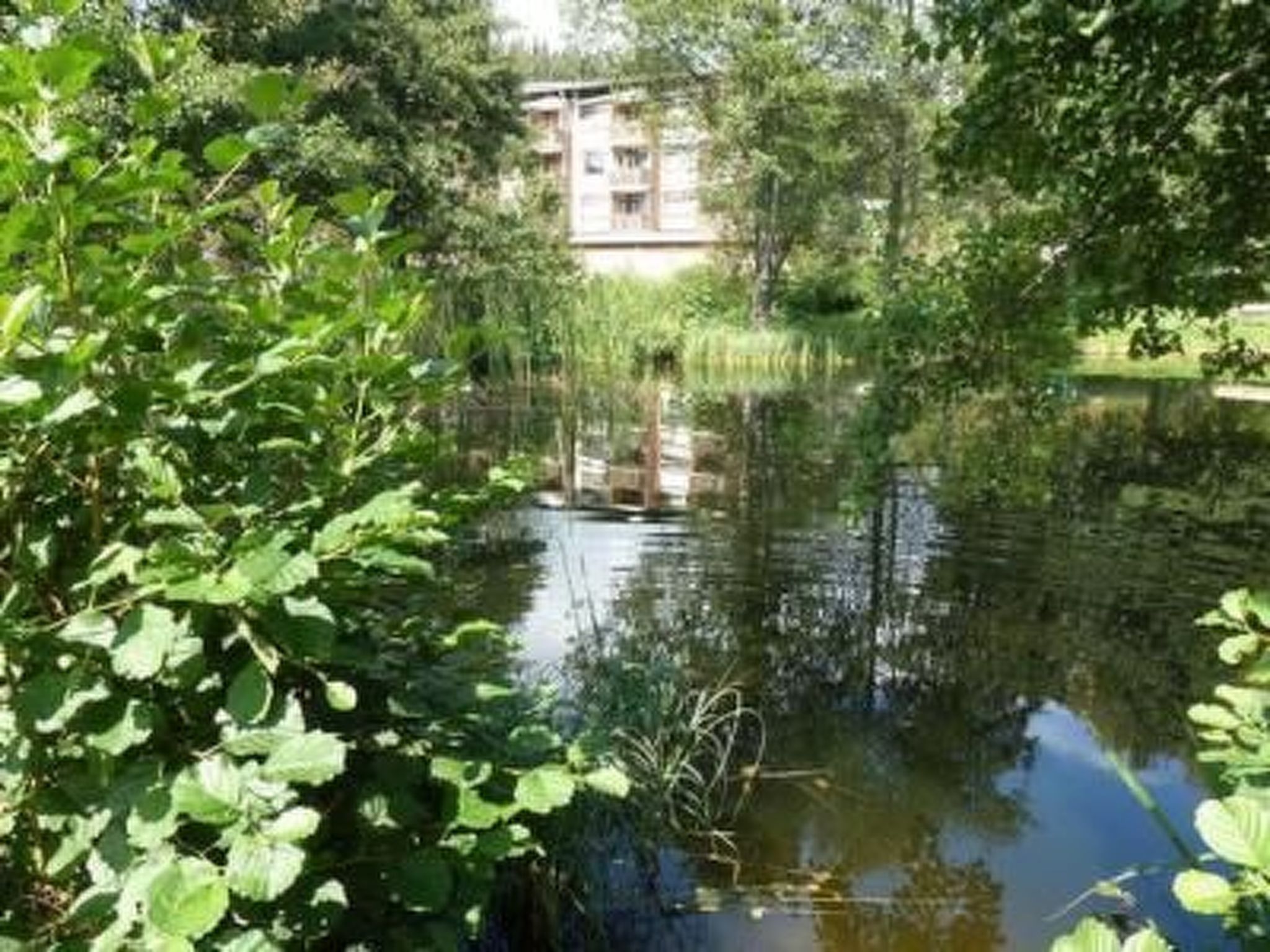 Kurhotel Schluchsee, 4-Bettwohnung-Binnen