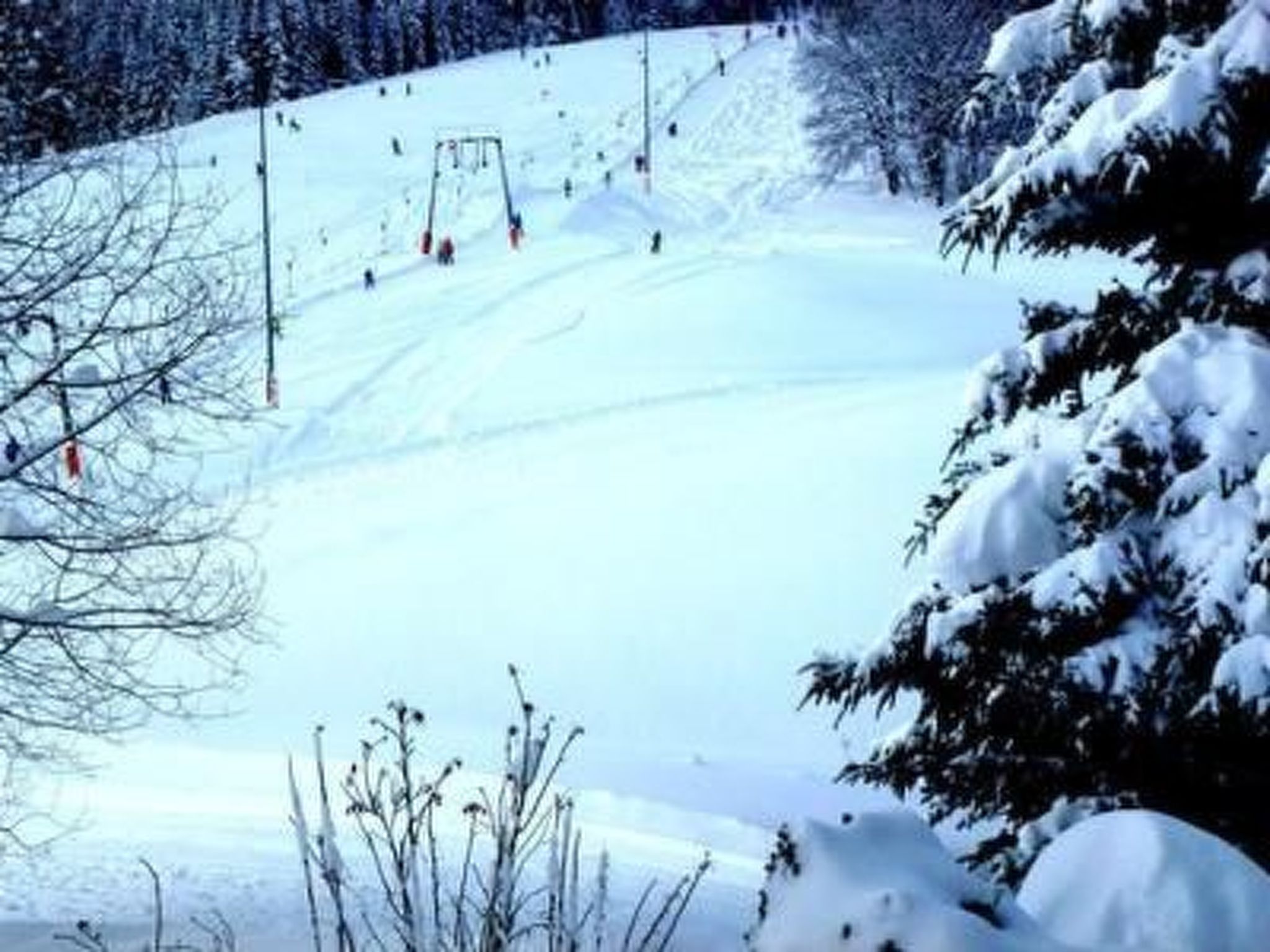 Kurhotel Schluchsee, 4-Bettwohnung-Binnen