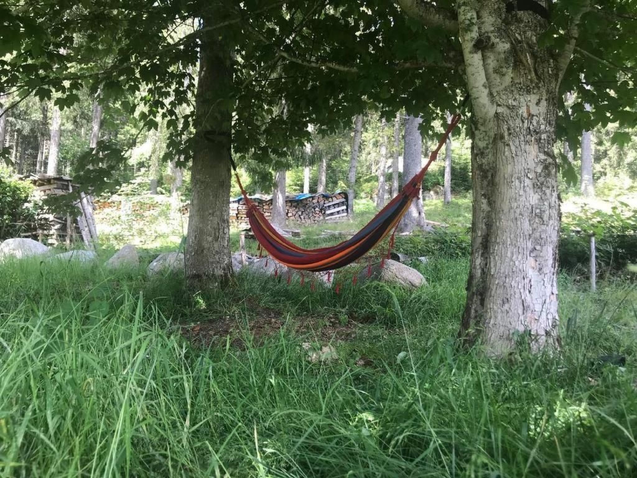 Schluchseehuus-Image-tags.info