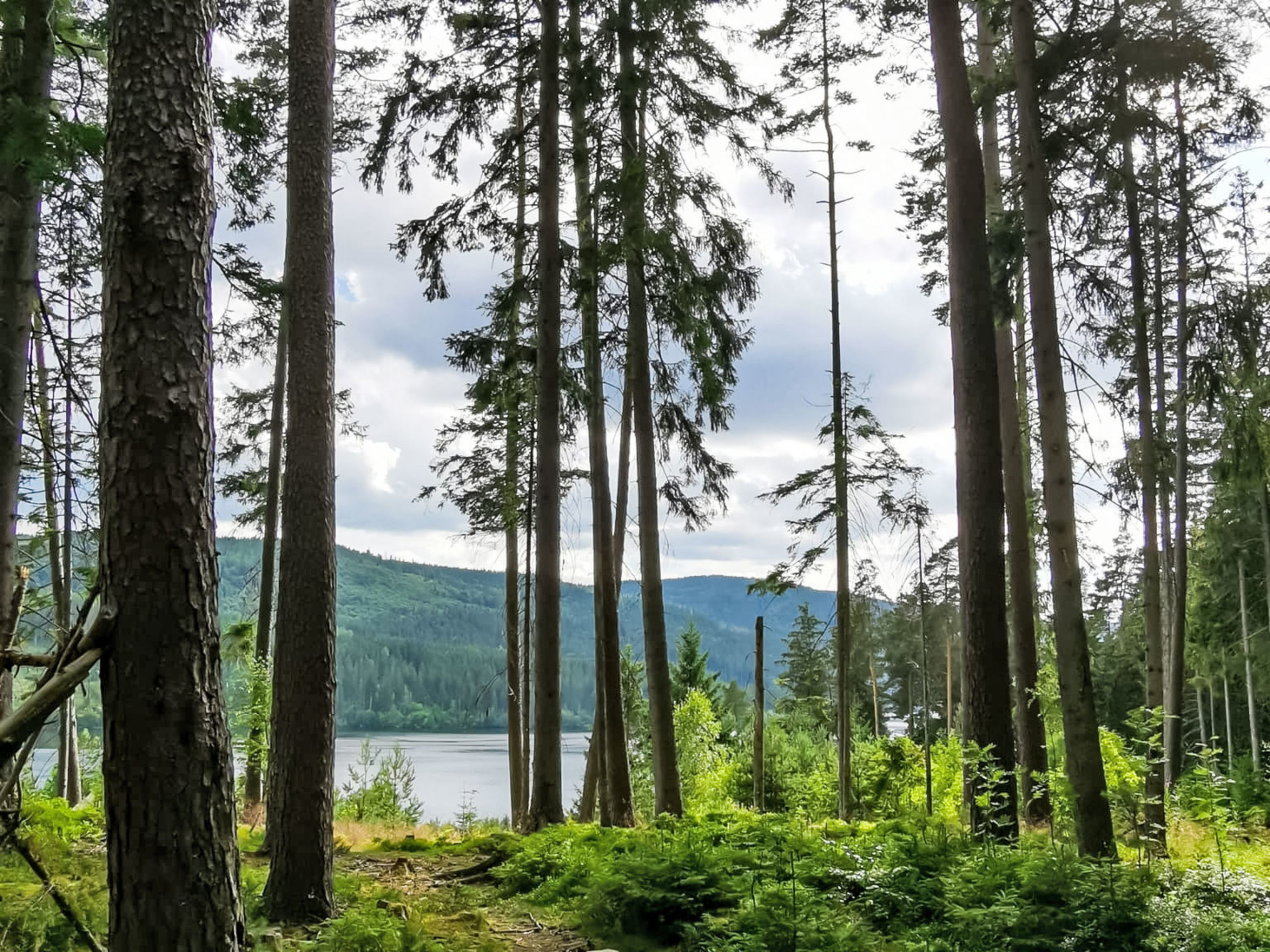 Ferienwohnung Wolfsgrund - Buiten