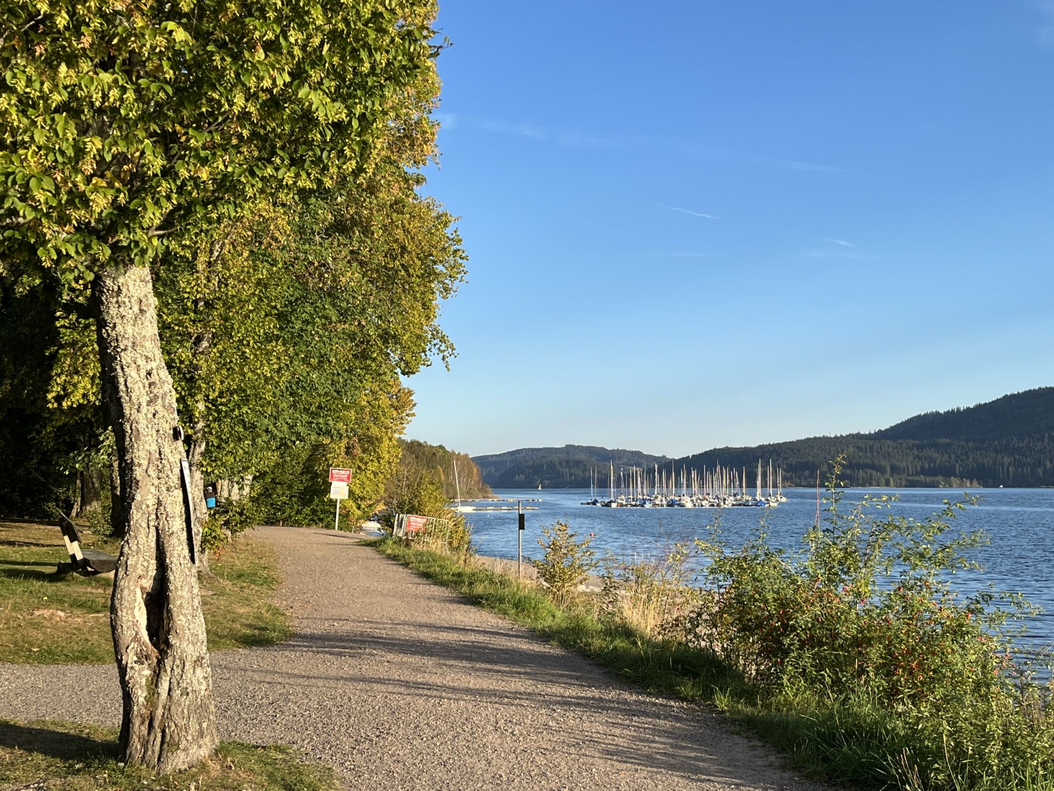 Kaiser-Omgeving