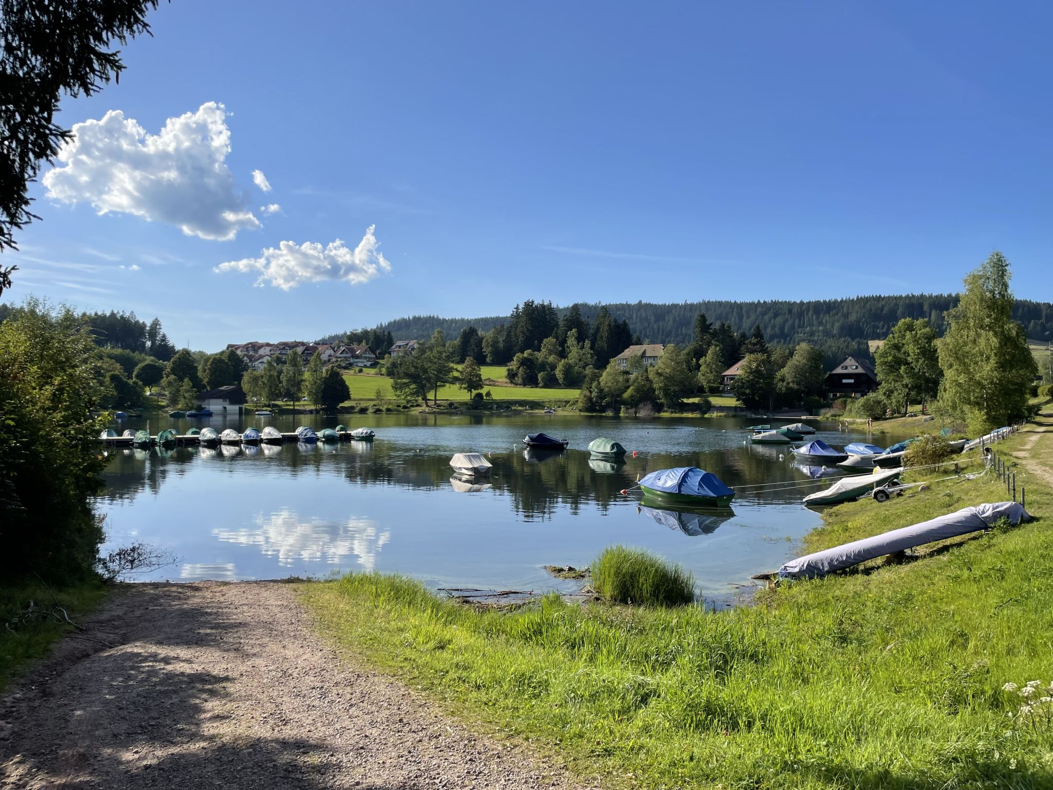 Kaiser-Omgeving