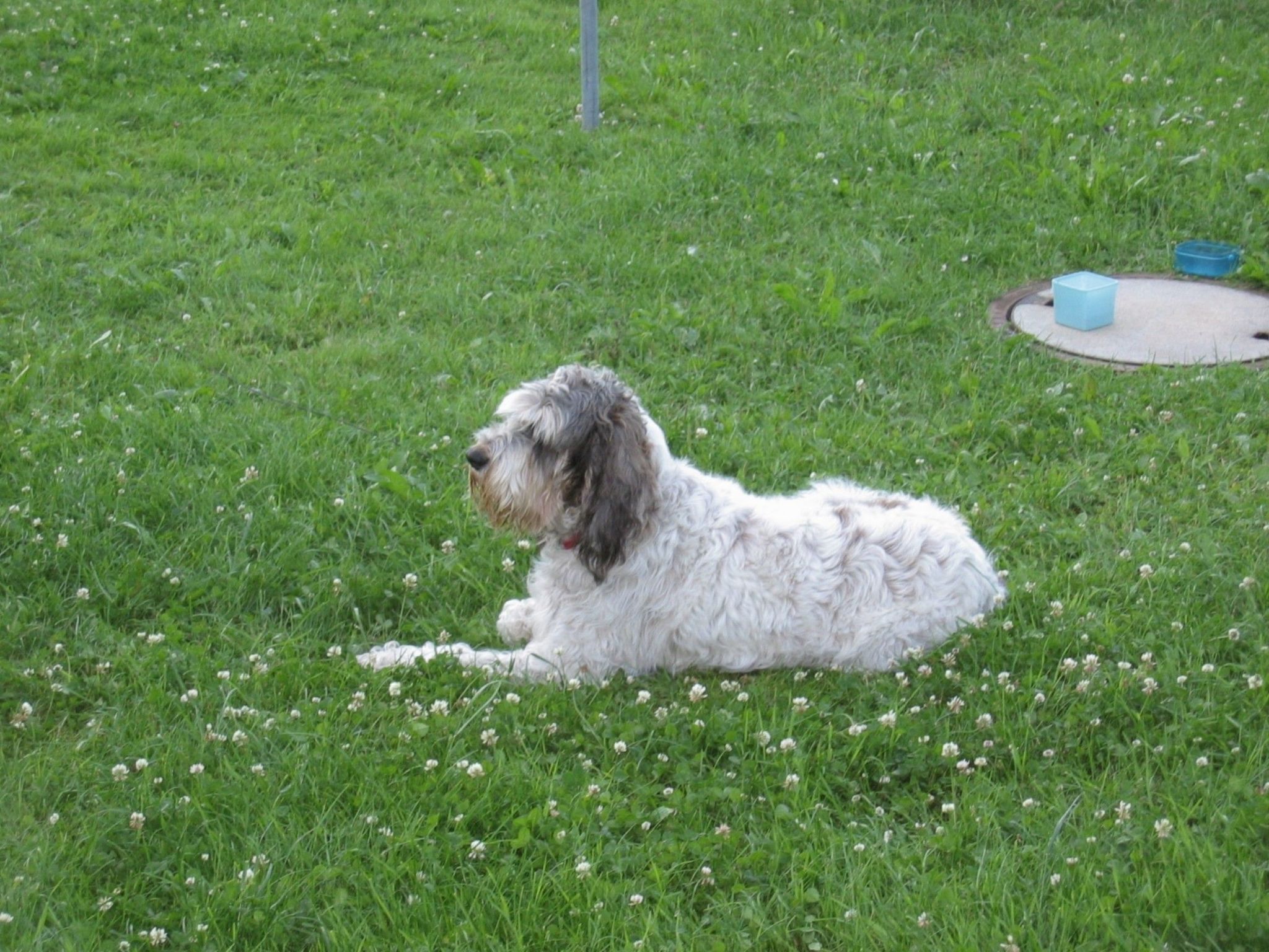 Appartement in Wittenschwand-Inside