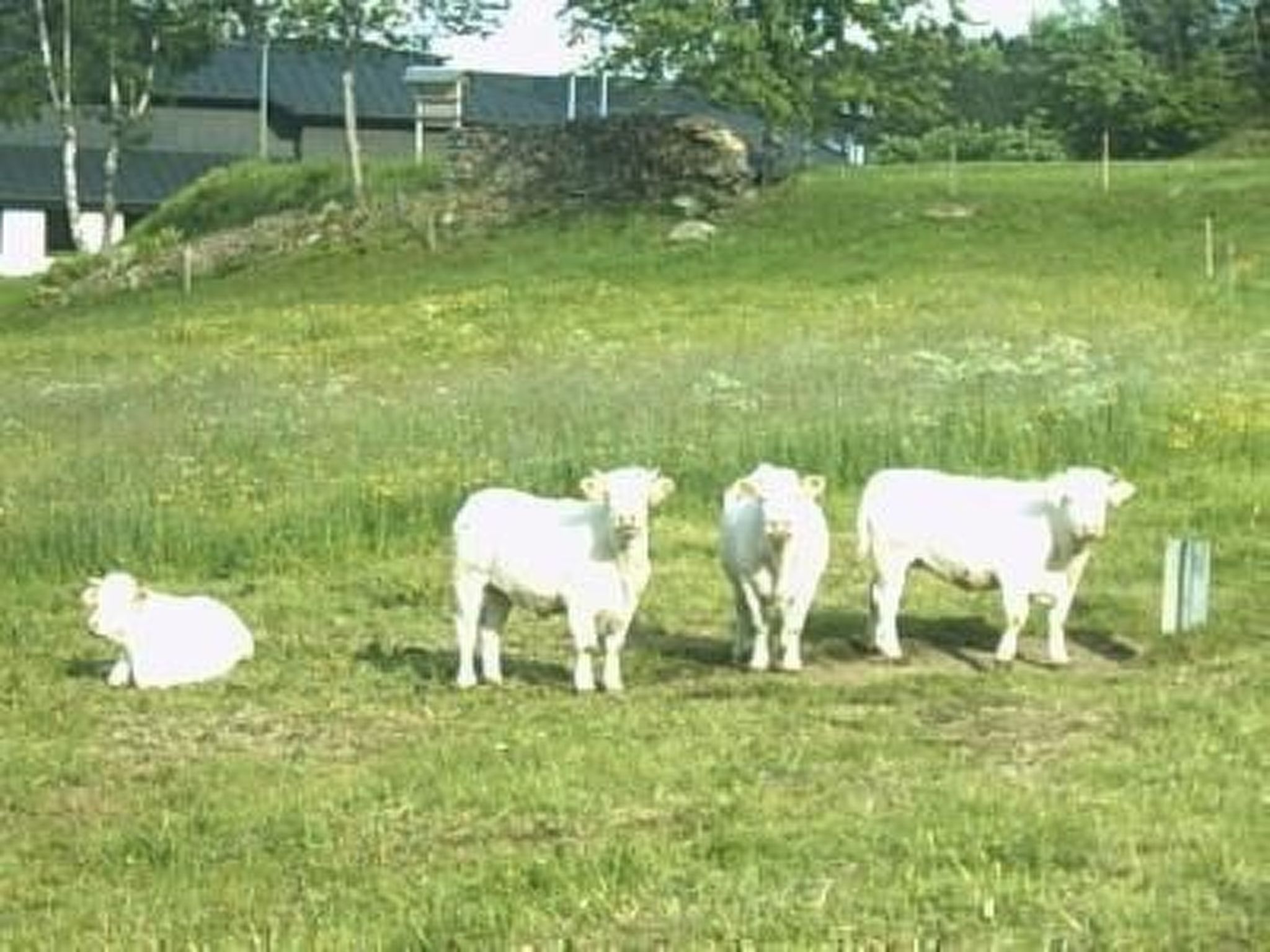 Appartement in Wittenschwand-Inside