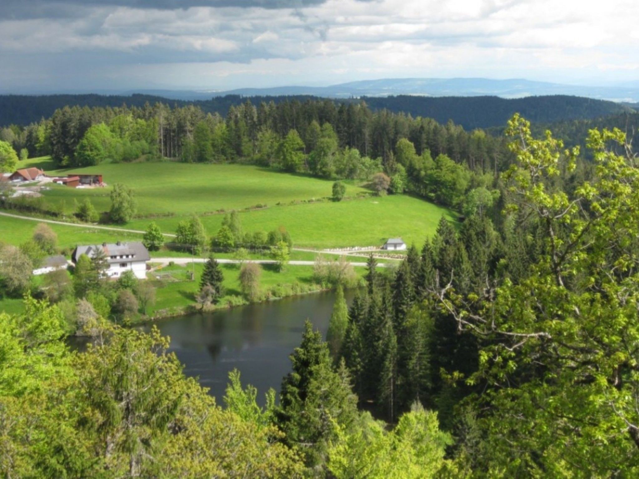 Appartement in Wittenschwand-Inside