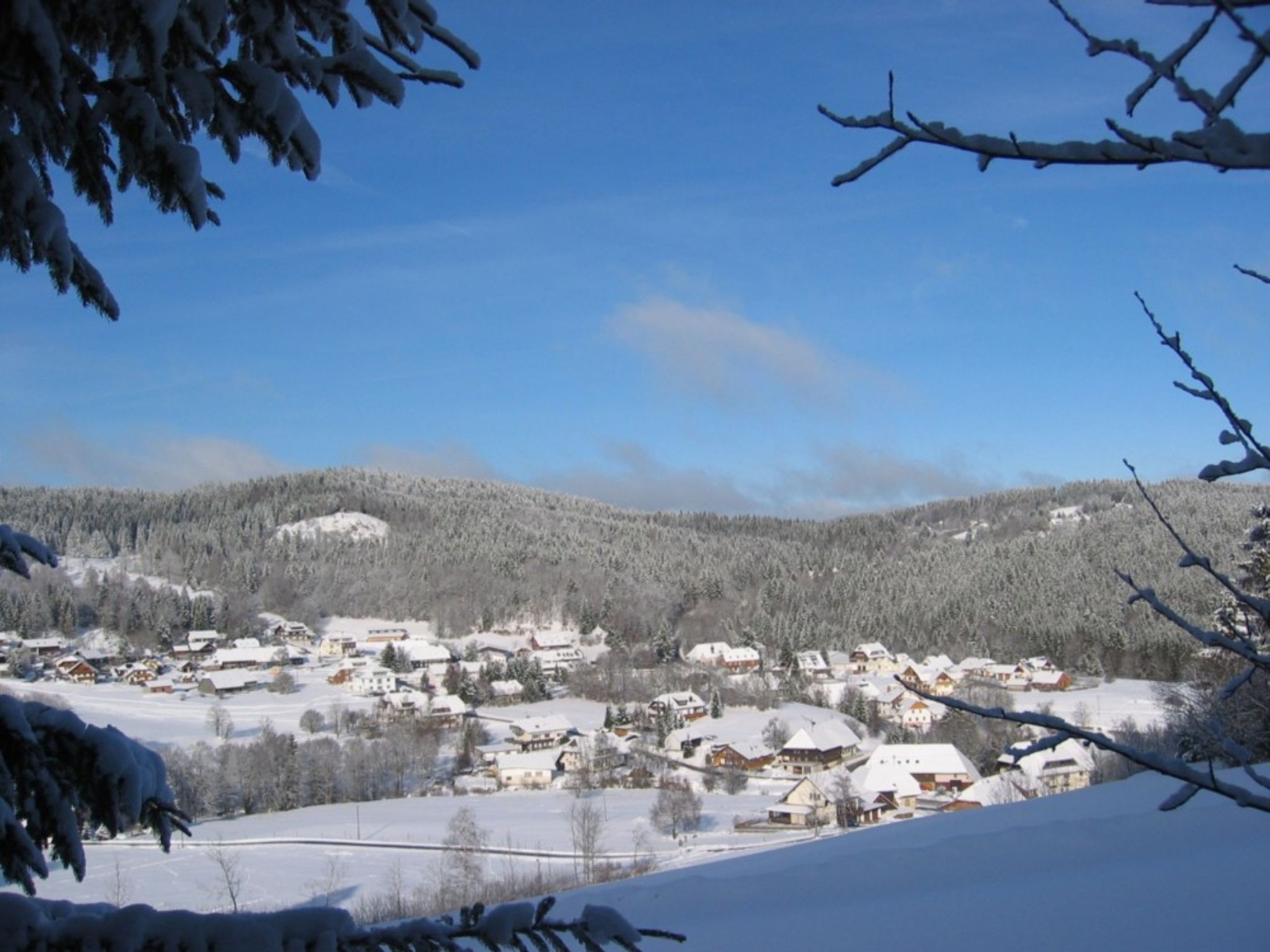 Appartement in Wittenschwand-Inside