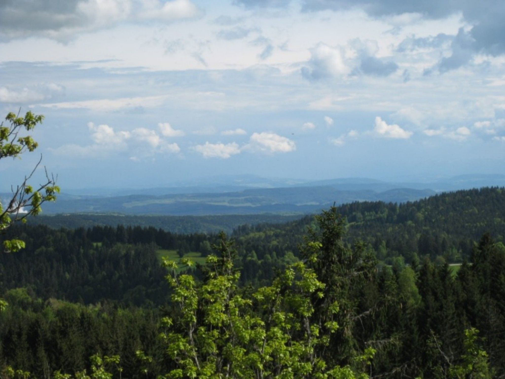 Wohnung "Fübüüni"-Inside