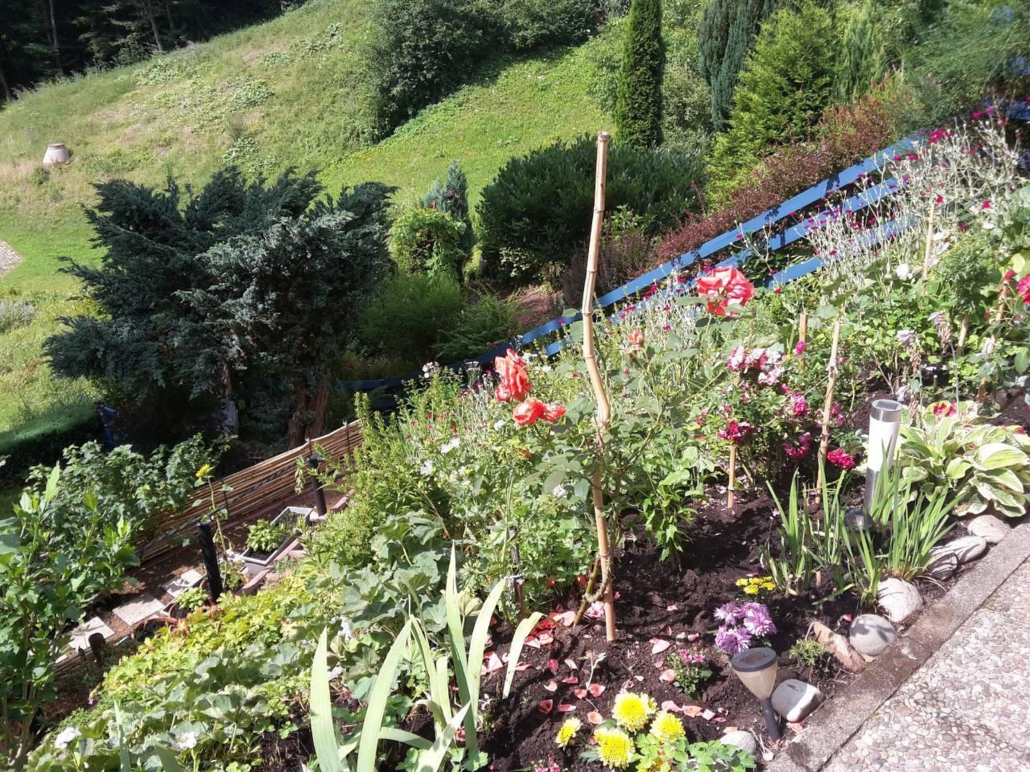 Haus Wiesental-Image-tags.info