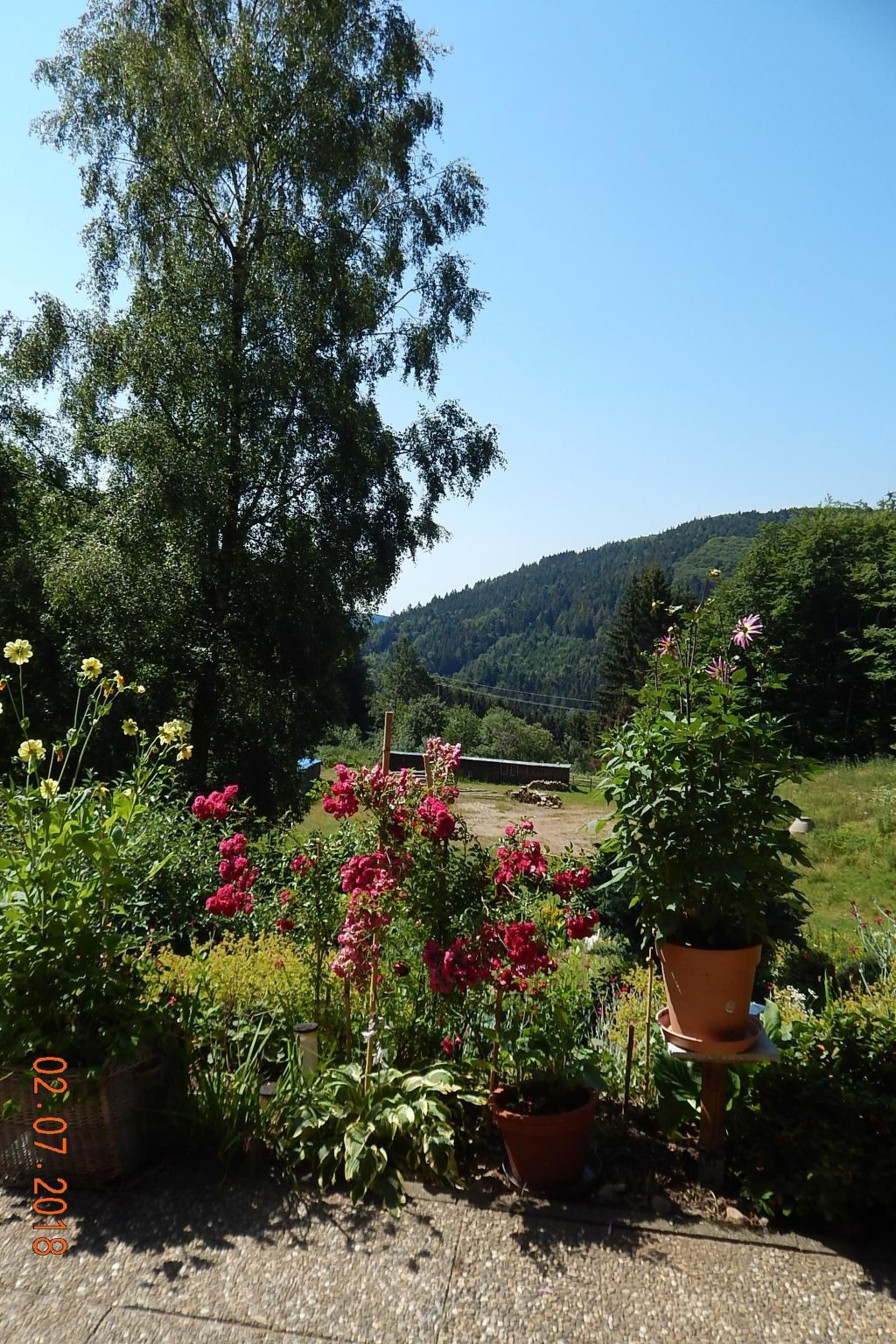 Haus Wiesental-Image-tags.info