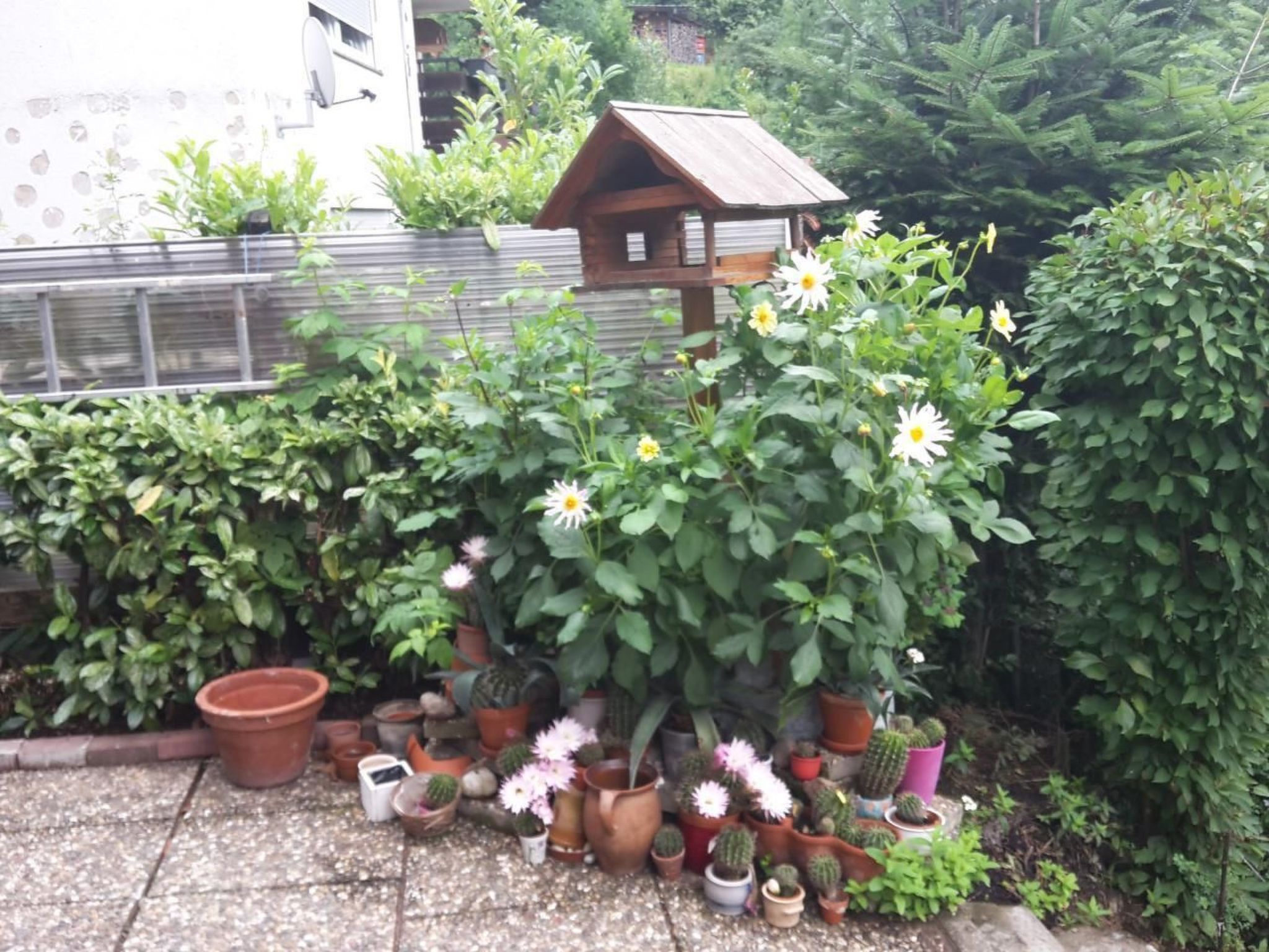 Haus Wiesental-Image-tags.info