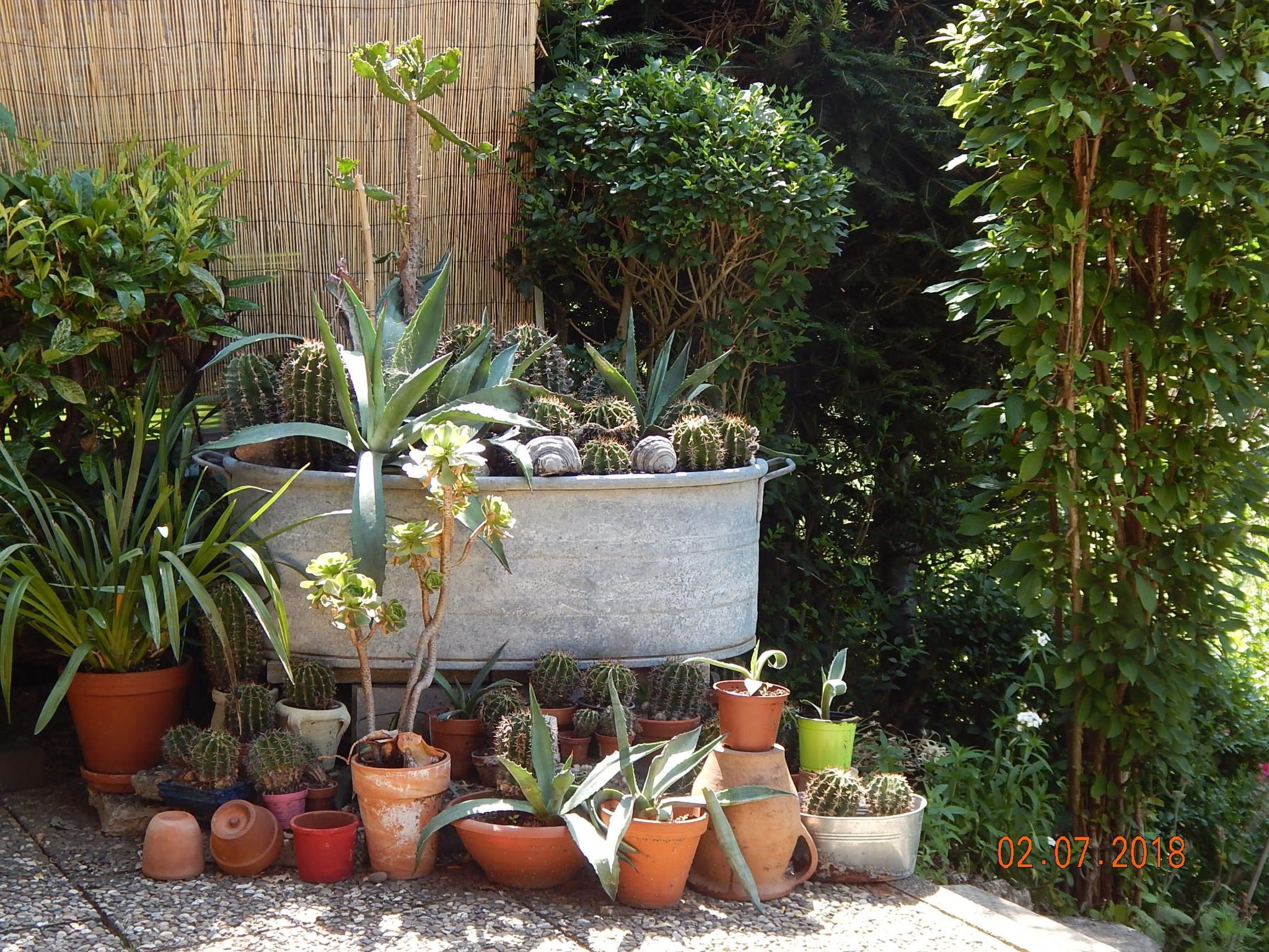 Haus Wiesental-Image-tags.info