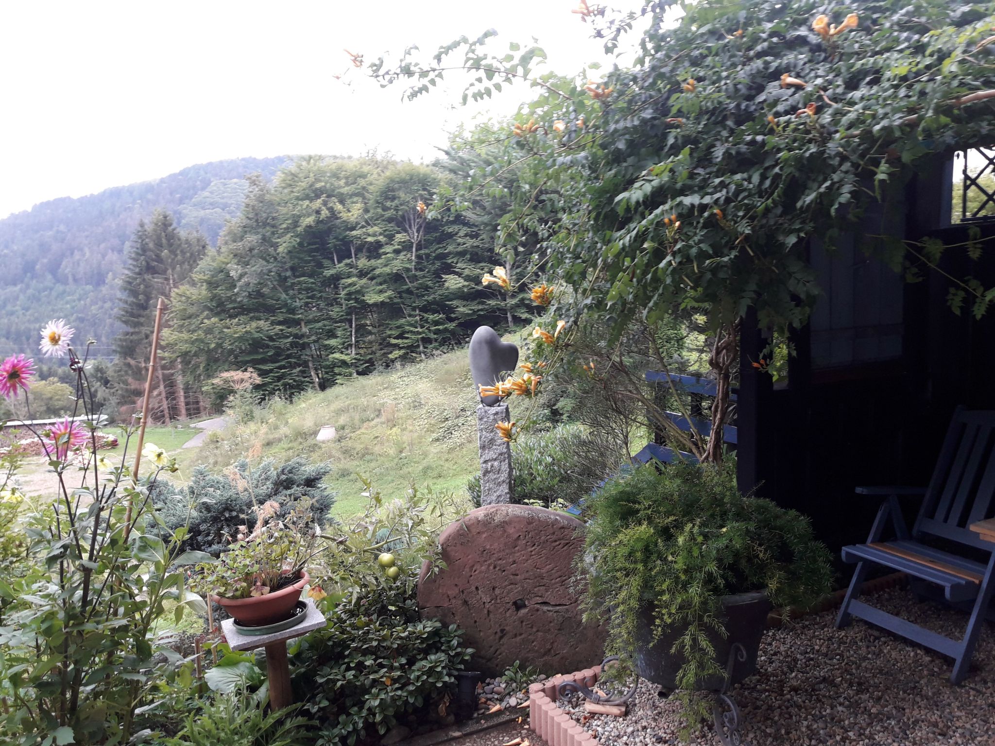 Haus Wiesental-Image-tags.info