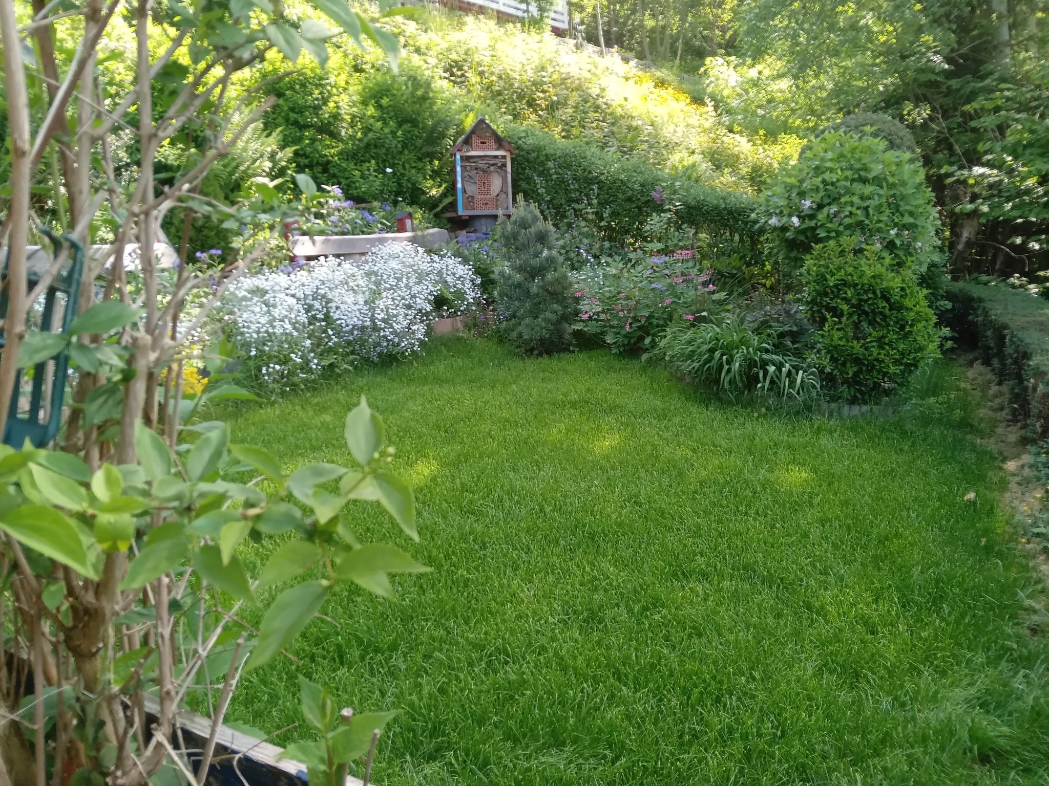 Haus Wiesental-Image-tags.info