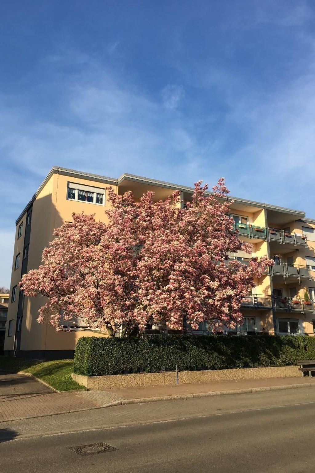 Stadtferienwohnung-Inside