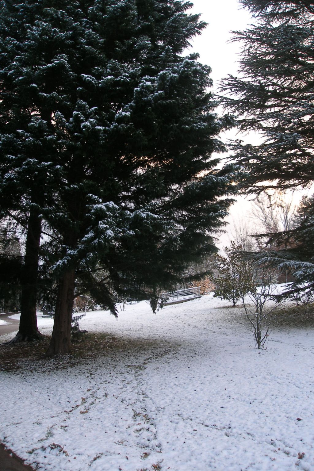 Fewo-ferber, Vogesen-Drinnen