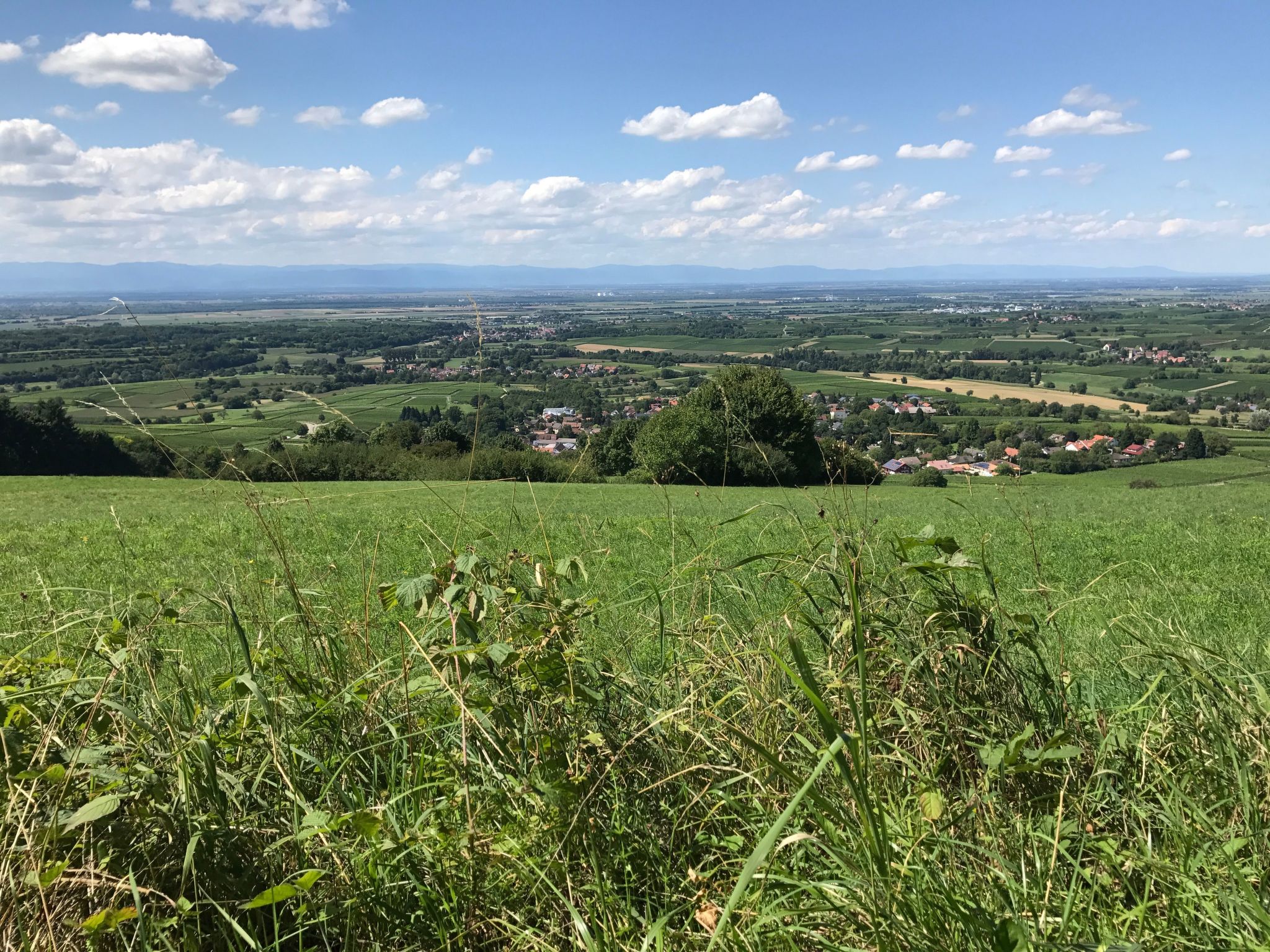 Haus Sonnenschein-Image-tags.info