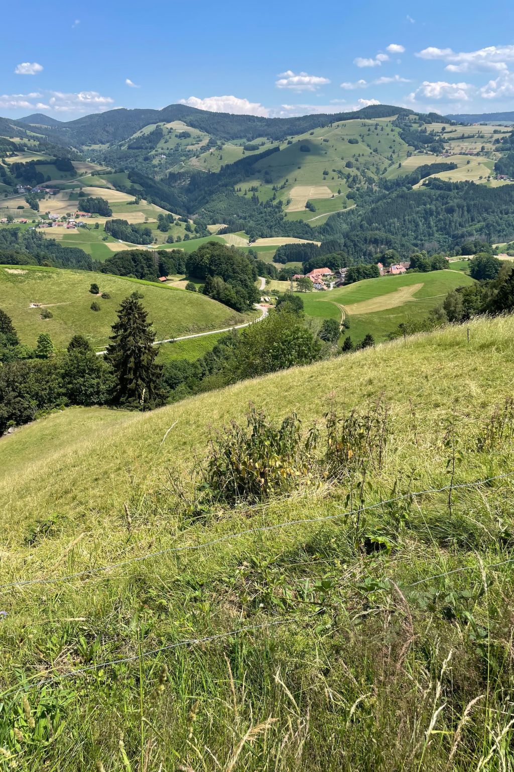 Haus Sonnenschein-Image-tags.info