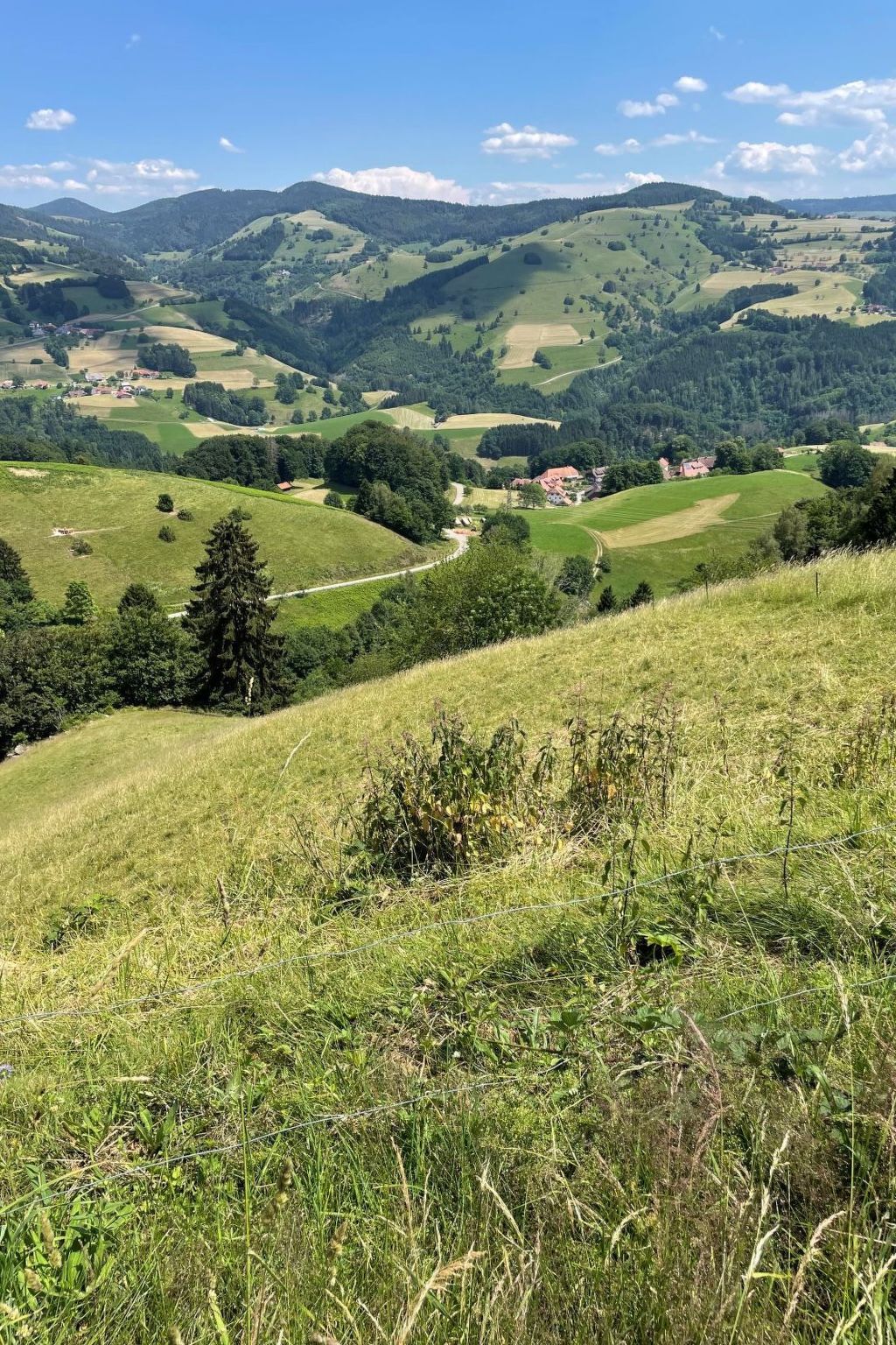 Haus Sonnenschein-Image-tags.info