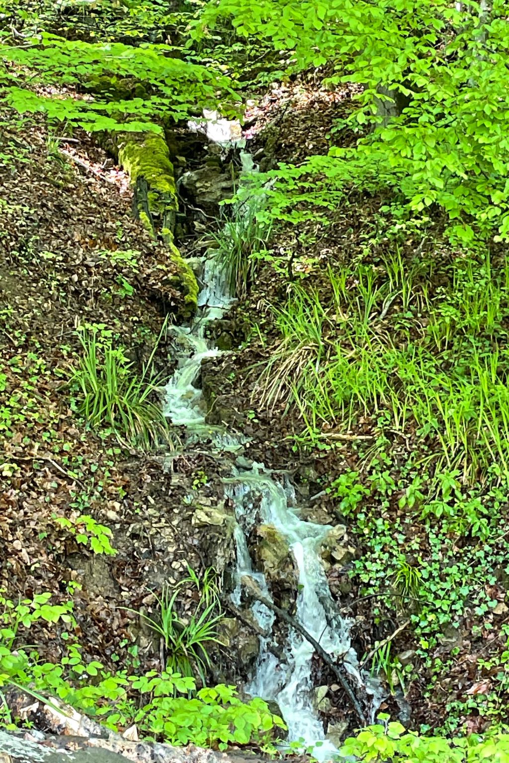 Haus Sonnenschein-Image-tags.info