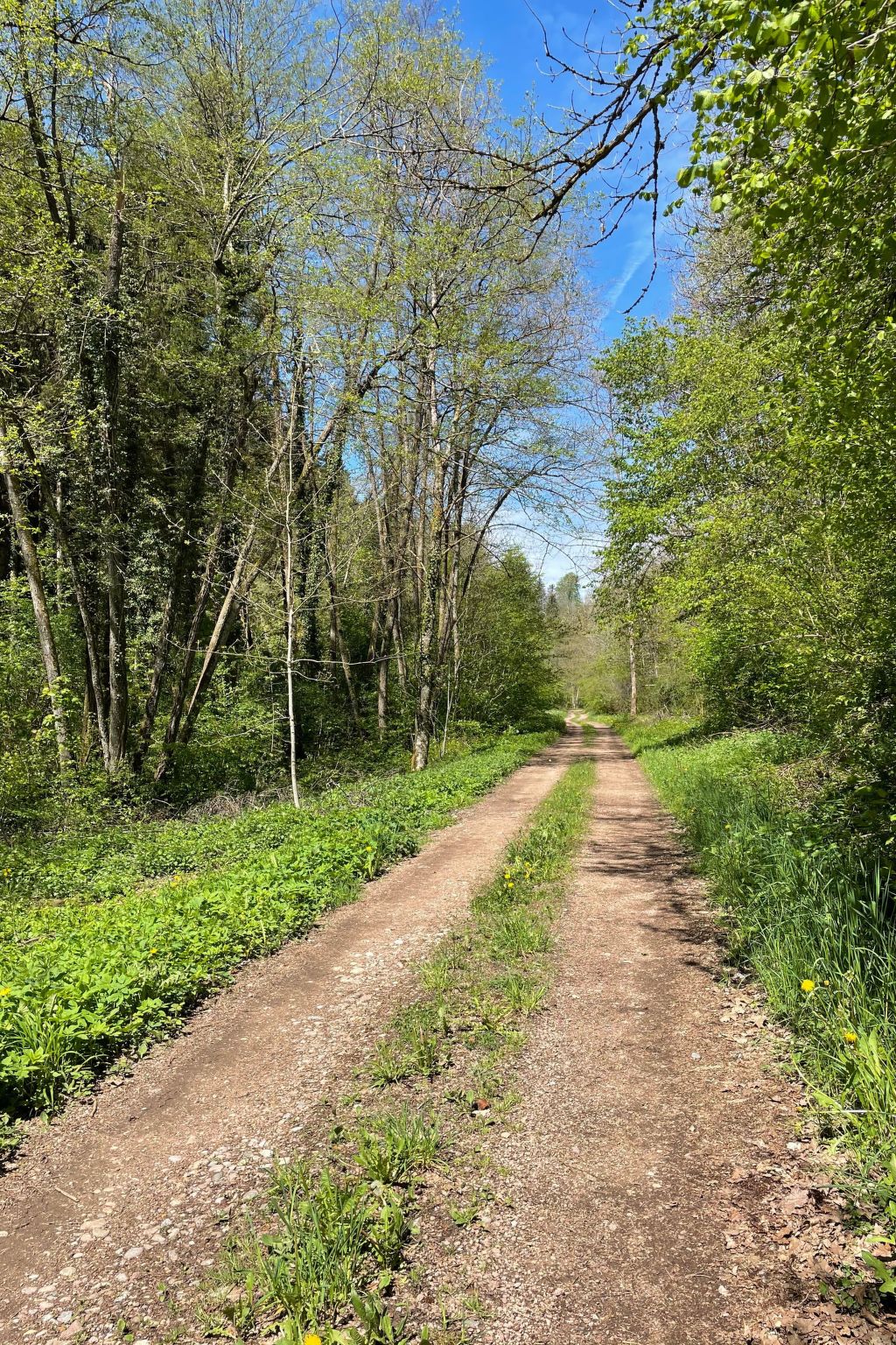 Haus Sonnenschein-Image-tags.info