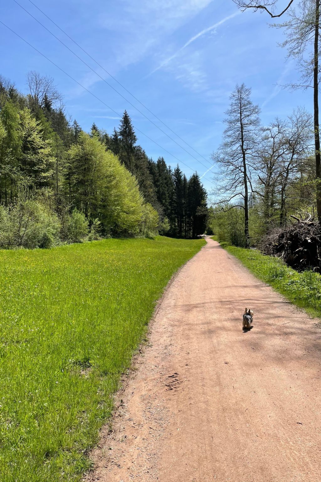 Haus Sonnenschein-Image-tags.info