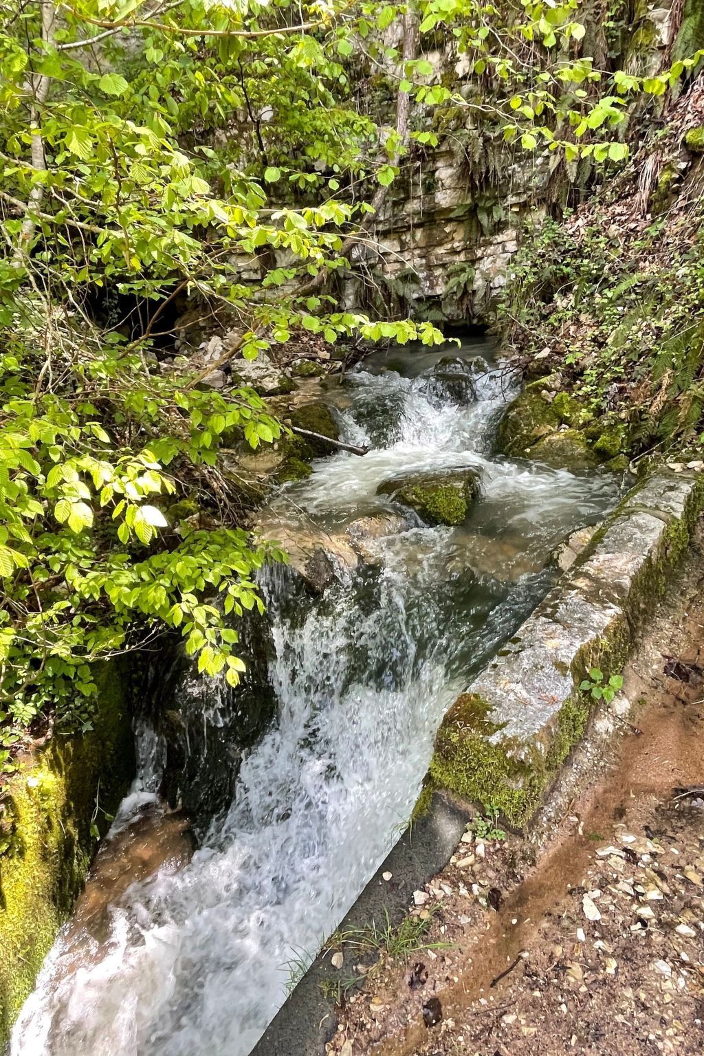 Haus Sonnenschein-Image-tags.info