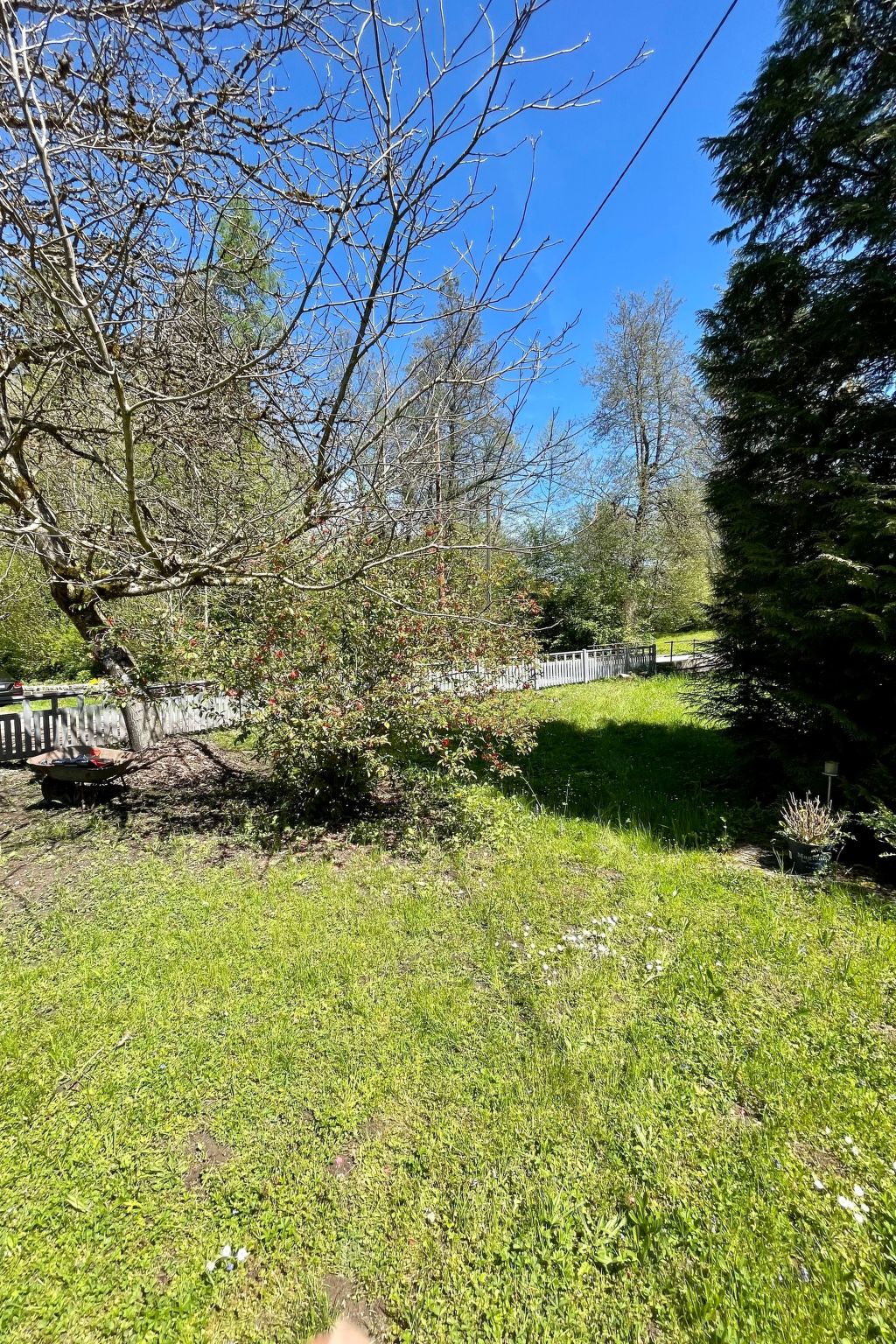 Haus Sonnenschein-Image-tags.info