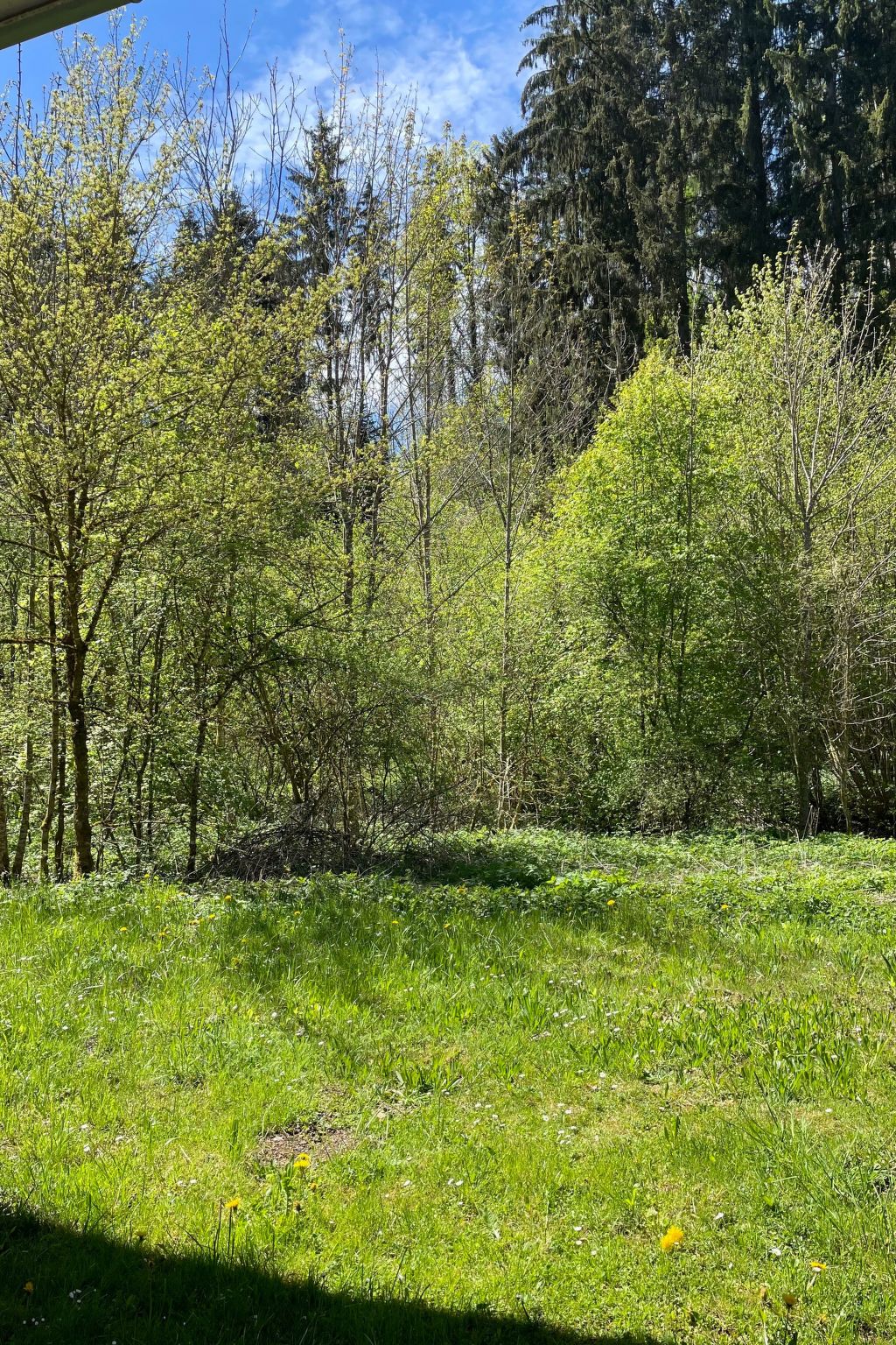 Haus Sonnenschein-Image-tags.info